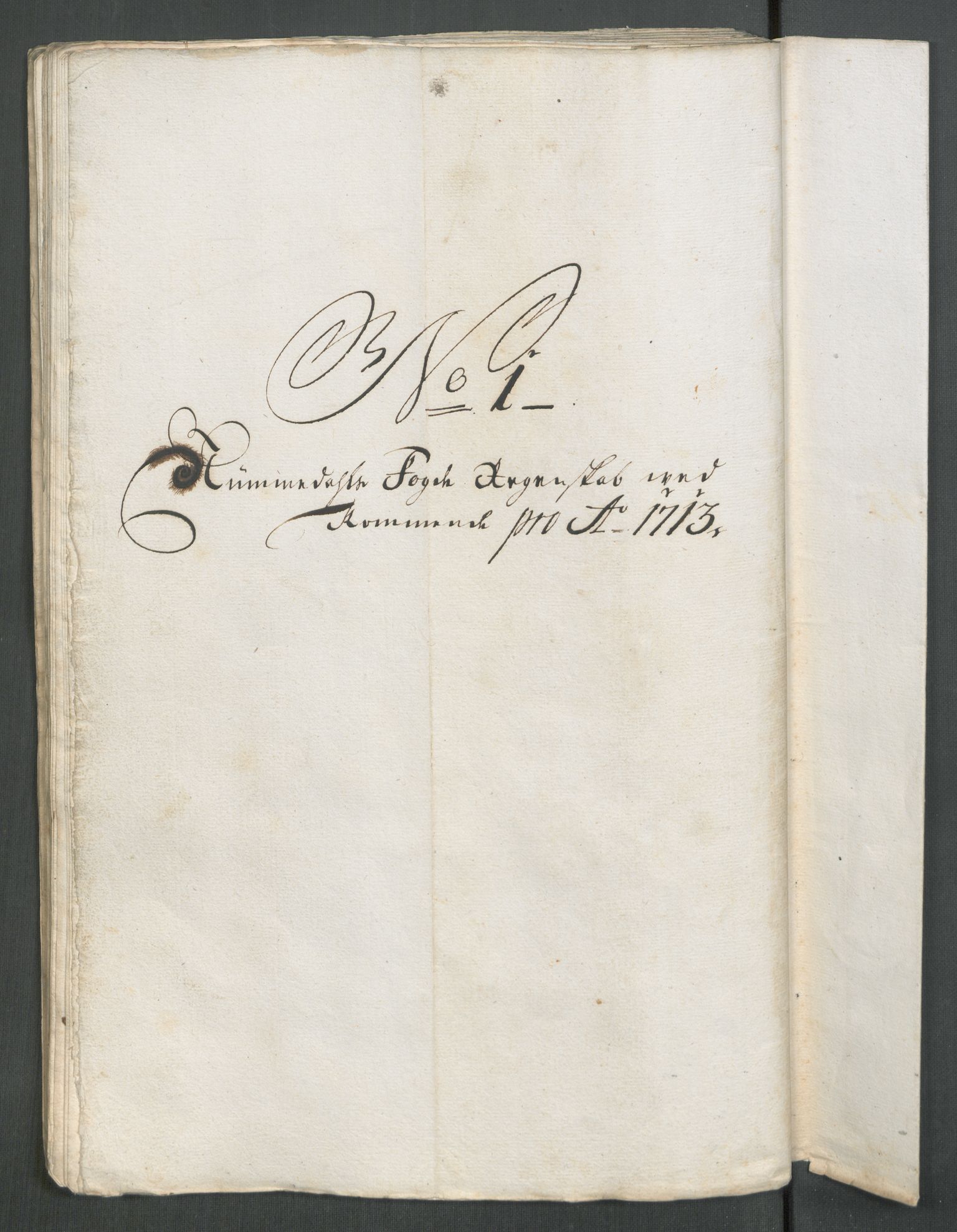 Rentekammeret inntil 1814, Reviderte regnskaper, Fogderegnskap, AV/RA-EA-4092/R64/L4434: Fogderegnskap Namdal, 1713, p. 82