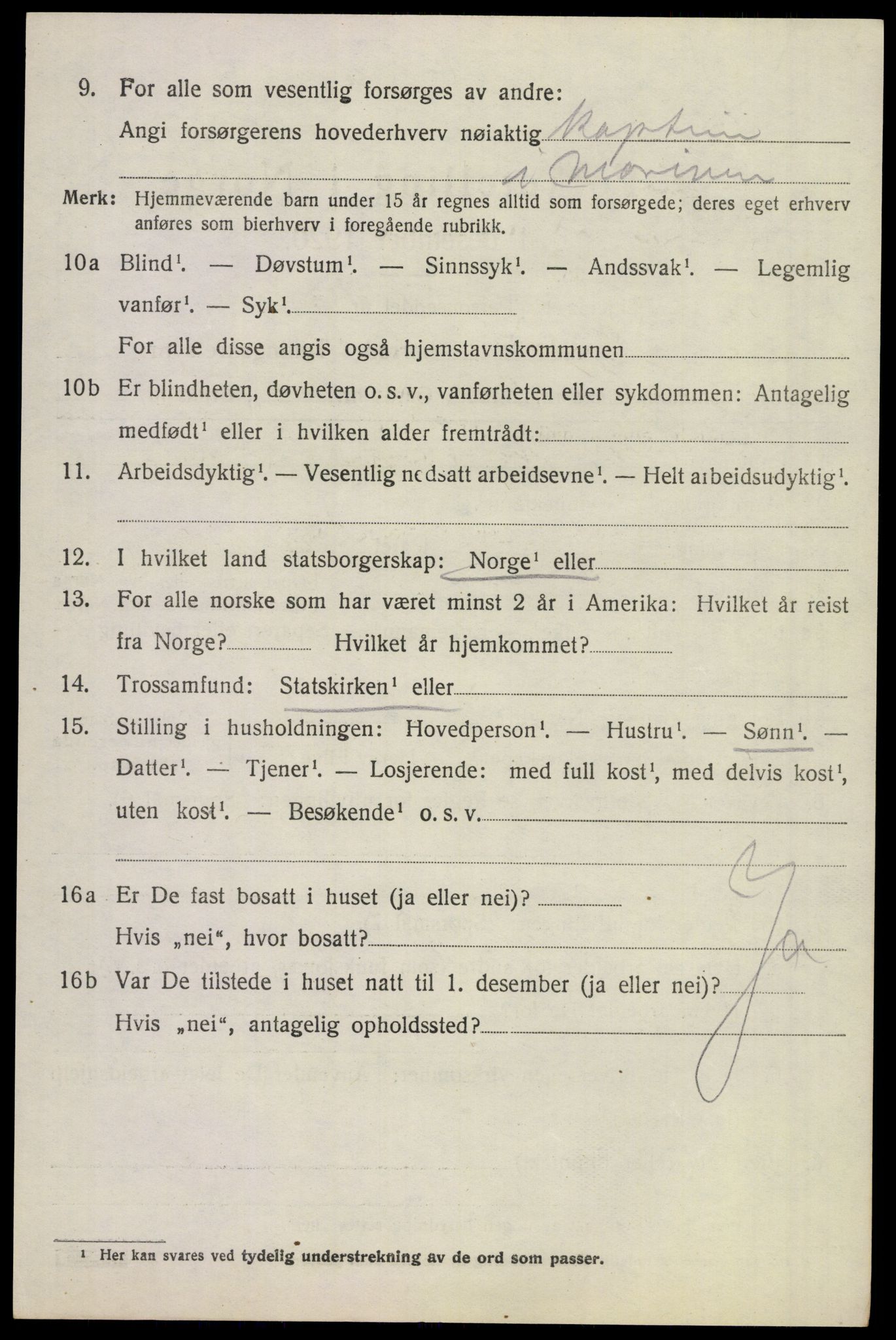 SAKO, 1920 census for Borre, 1920, p. 4939