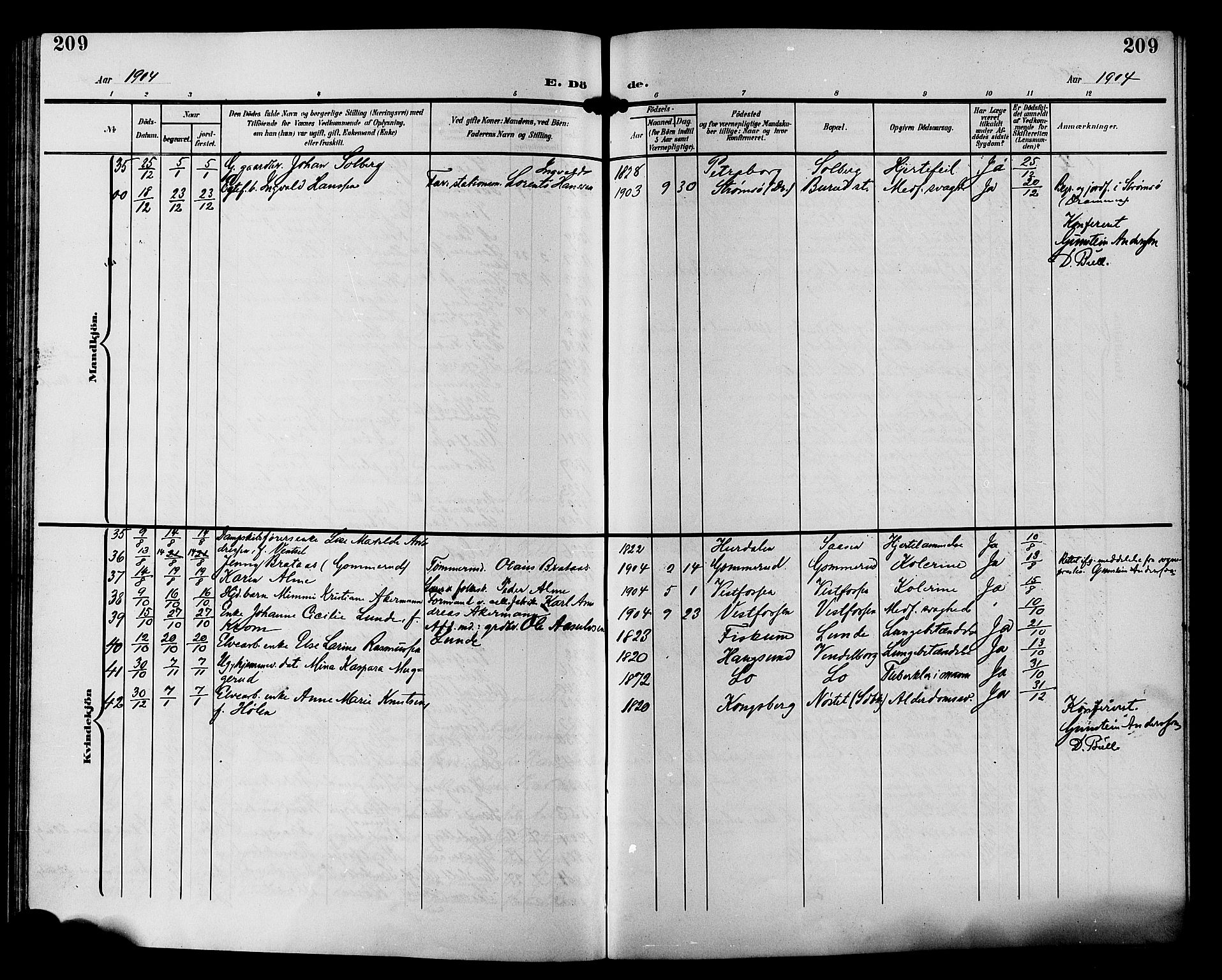 Eiker kirkebøker, SAKO/A-4/G/Ga/L0008: Parish register (copy) no. I 8, 1903-1914, p. 209