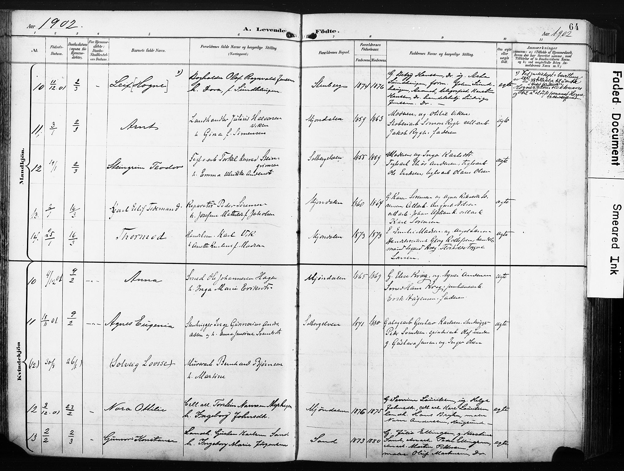 Nedre Eiker kirkebøker, AV/SAKO-A-612/F/Fa/L0005: Parish register (official) no. 5, 1898-1905, p. 64