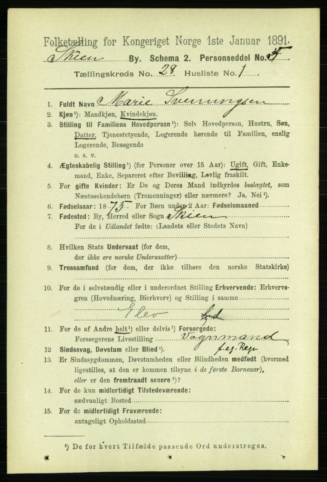 RA, 1891 census for 0806 Skien, 1891, p. 6500