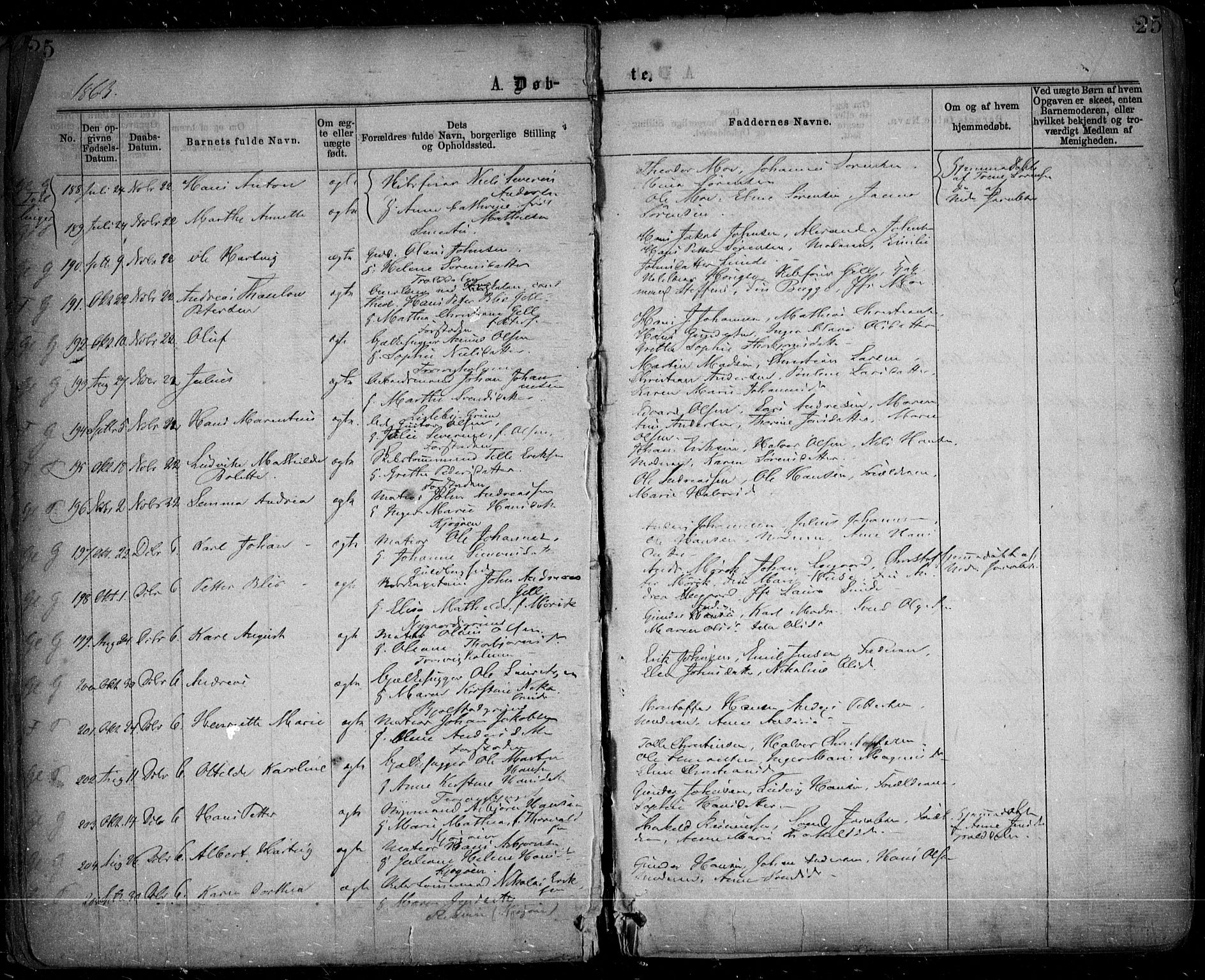 Glemmen prestekontor Kirkebøker, SAO/A-10908/F/Fa/L0008: Parish register (official) no. 8, 1862-1871, p. 25