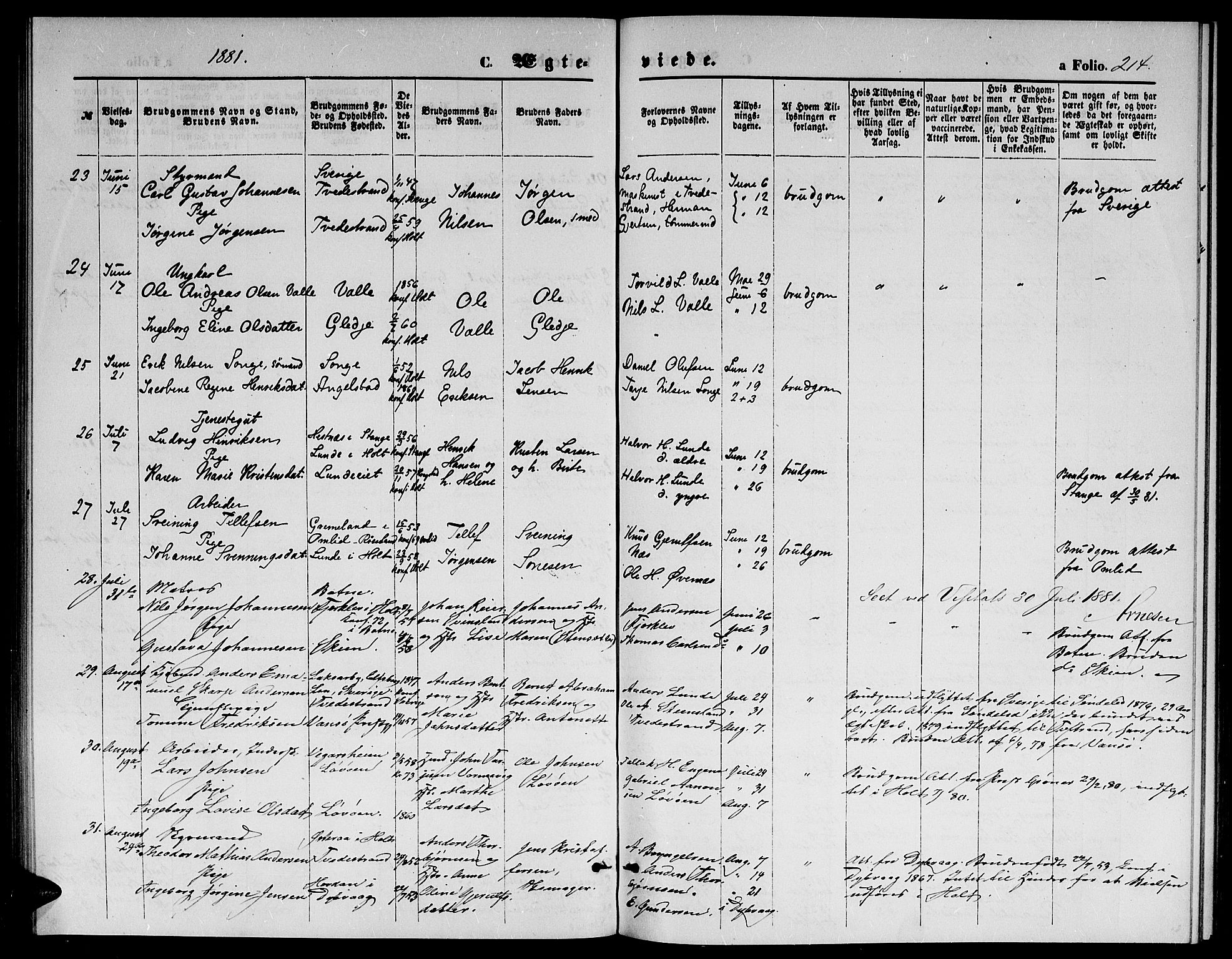 Holt sokneprestkontor, AV/SAK-1111-0021/F/Fb/L0009: Parish register (copy) no. B 9, 1871-1883, p. 214