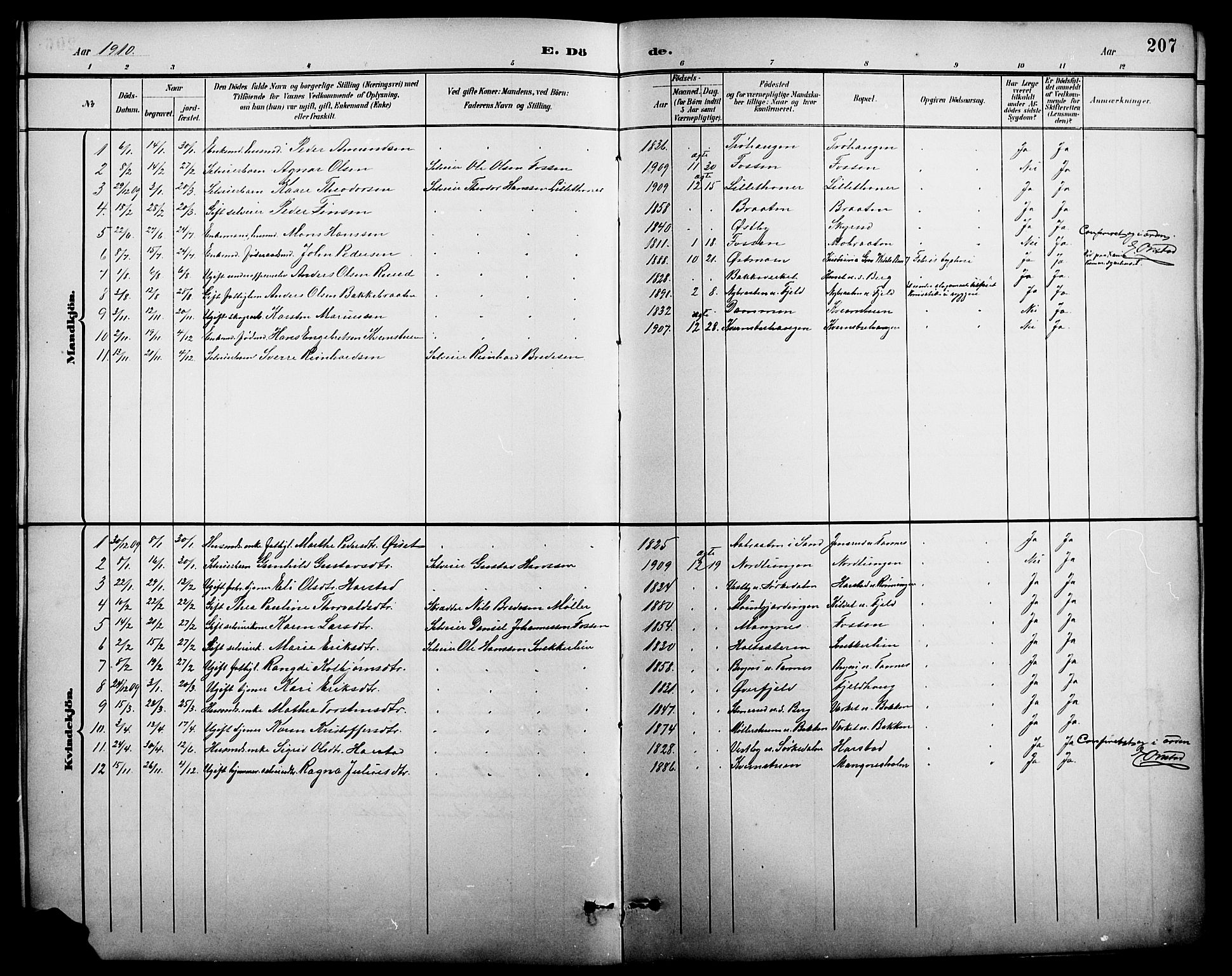 Nord-Odal prestekontor, AV/SAH-PREST-032/H/Ha/Hab/L0002: Parish register (copy) no. 2, 1895-1921, p. 207