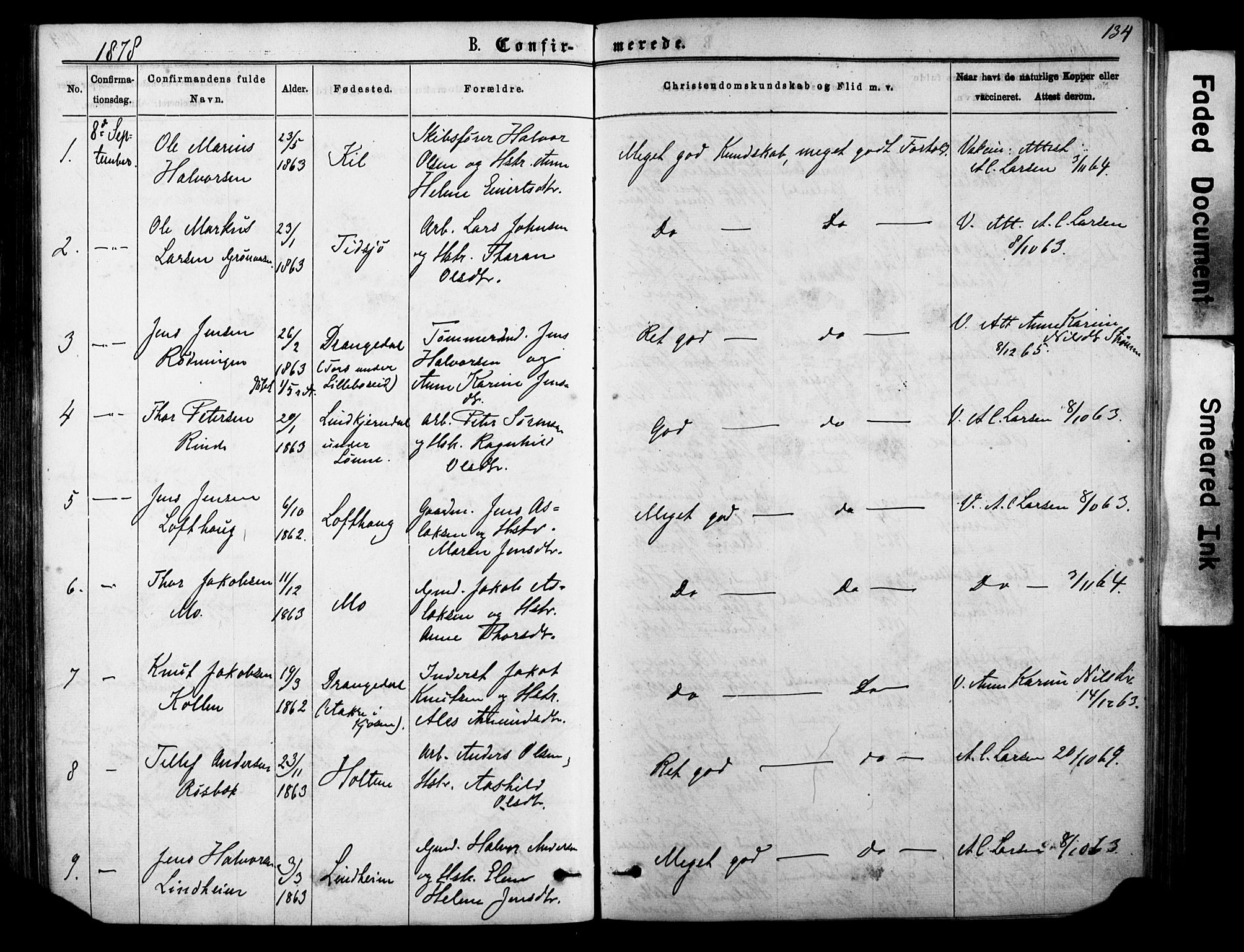 Sannidal kirkebøker, SAKO/A-296/F/Fa/L0014: Parish register (official) no. 14, 1874-1883, p. 134