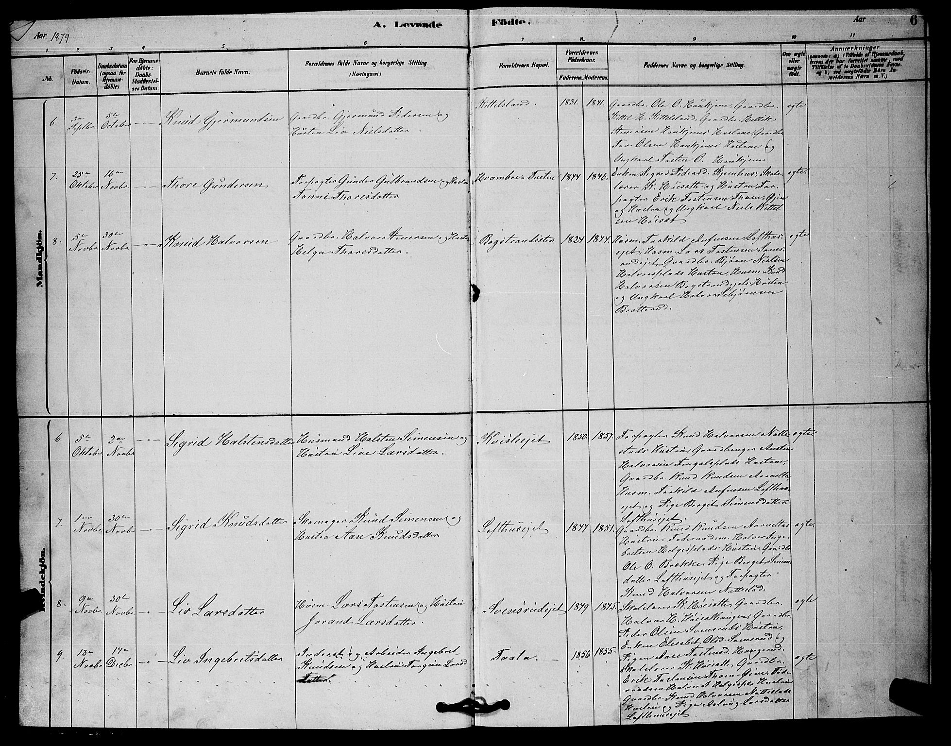 Rollag kirkebøker, AV/SAKO-A-240/G/Gb/L0002: Parish register (copy) no. II 2, 1878-1898, p. 6