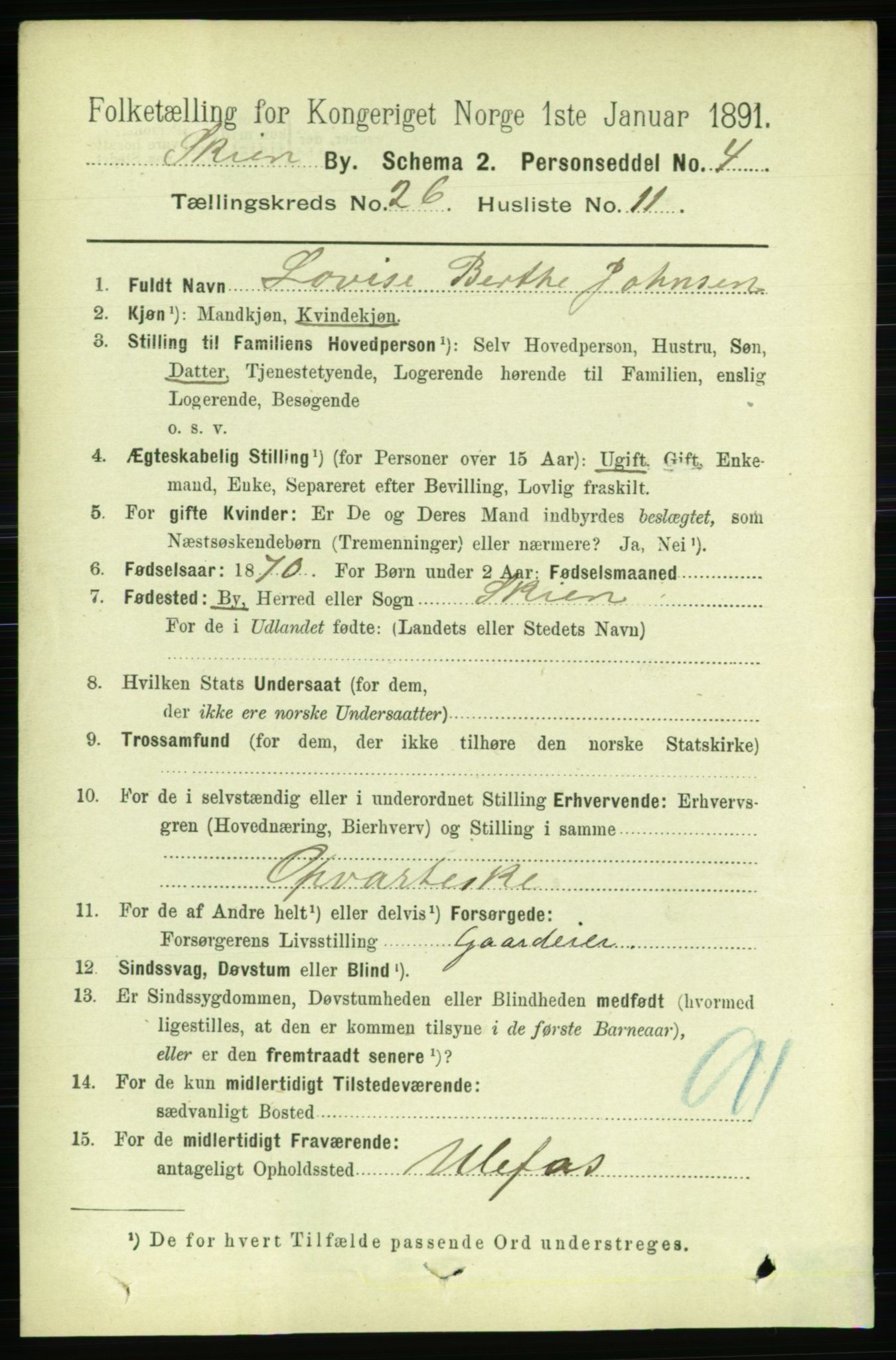 RA, 1891 census for 0806 Skien, 1891, p. 6331