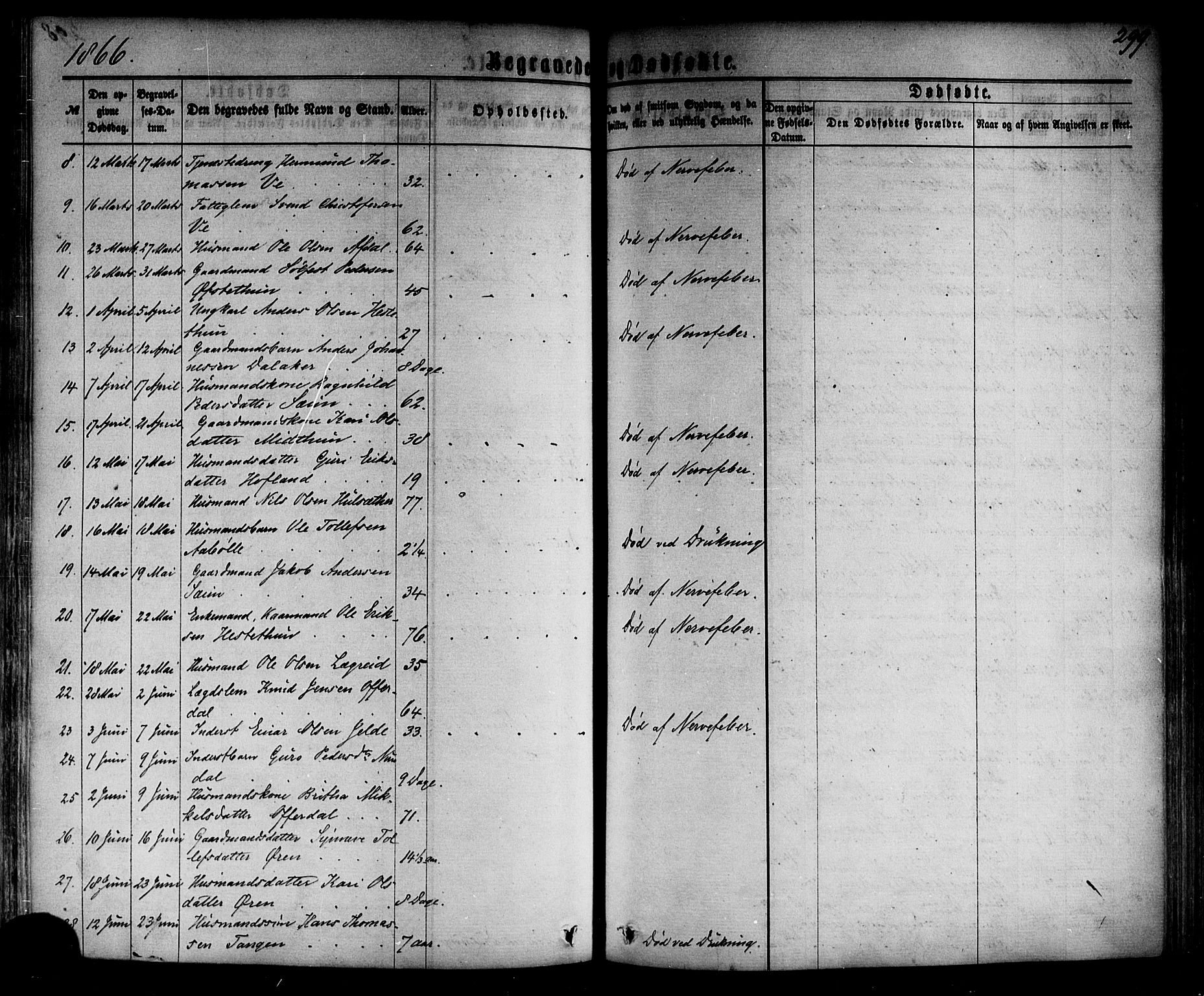 Årdal sokneprestembete, SAB/A-81701: Parish register (official) no. A 3, 1863-1886, p. 299