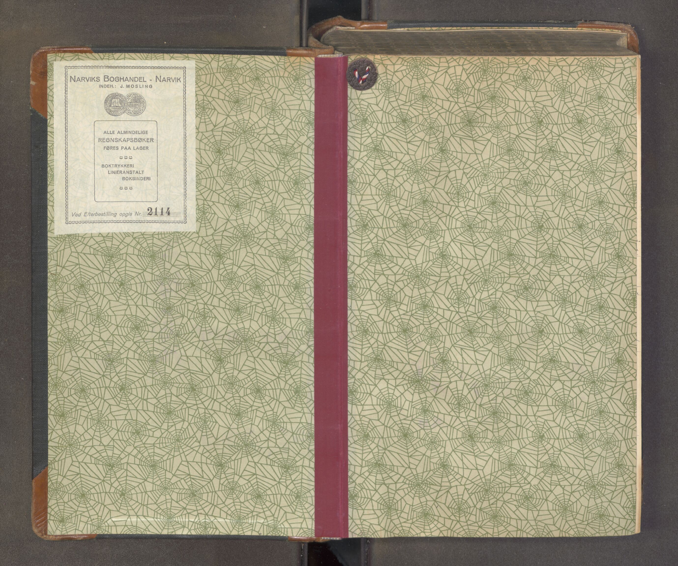 Hallingdal sorenskriveri, AV/SAKO-A-121/F/Fa/L0030: Tingbok, 1924-1928