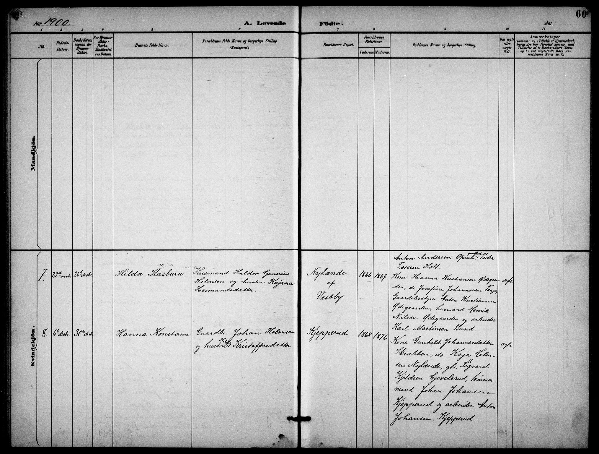 Enebakk prestekontor Kirkebøker, SAO/A-10171c/G/Gb/L0002: Parish register (copy) no. II 2, 1891-1903, p. 60