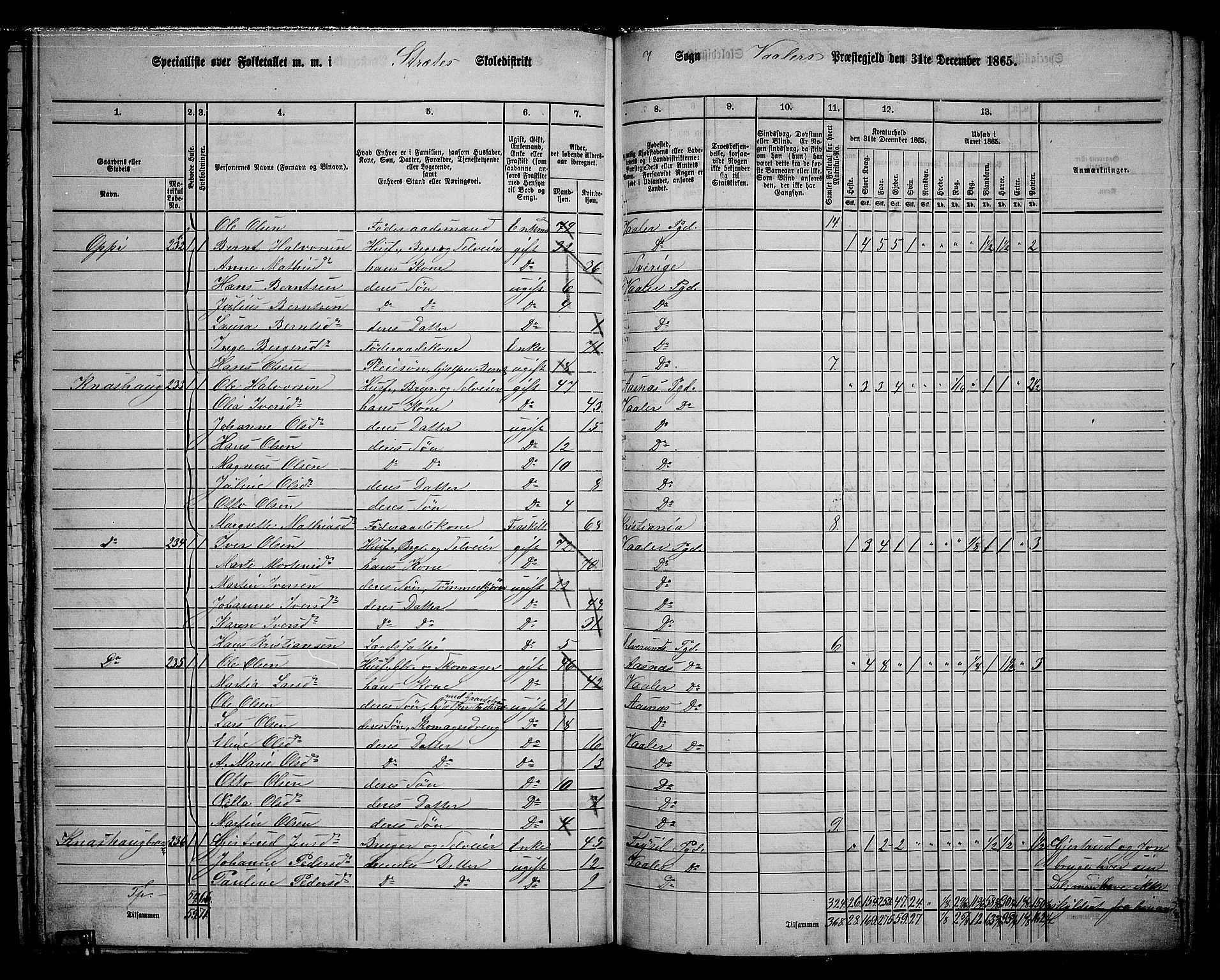 RA, 1865 census for Våler, 1865, p. 106