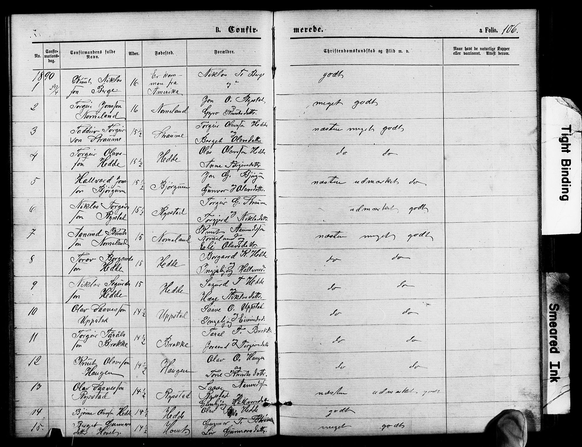 Valle sokneprestkontor, SAK/1111-0044/F/Fb/Fbb/L0002: Parish register (copy) no. B 2, 1875-1921, p. 106