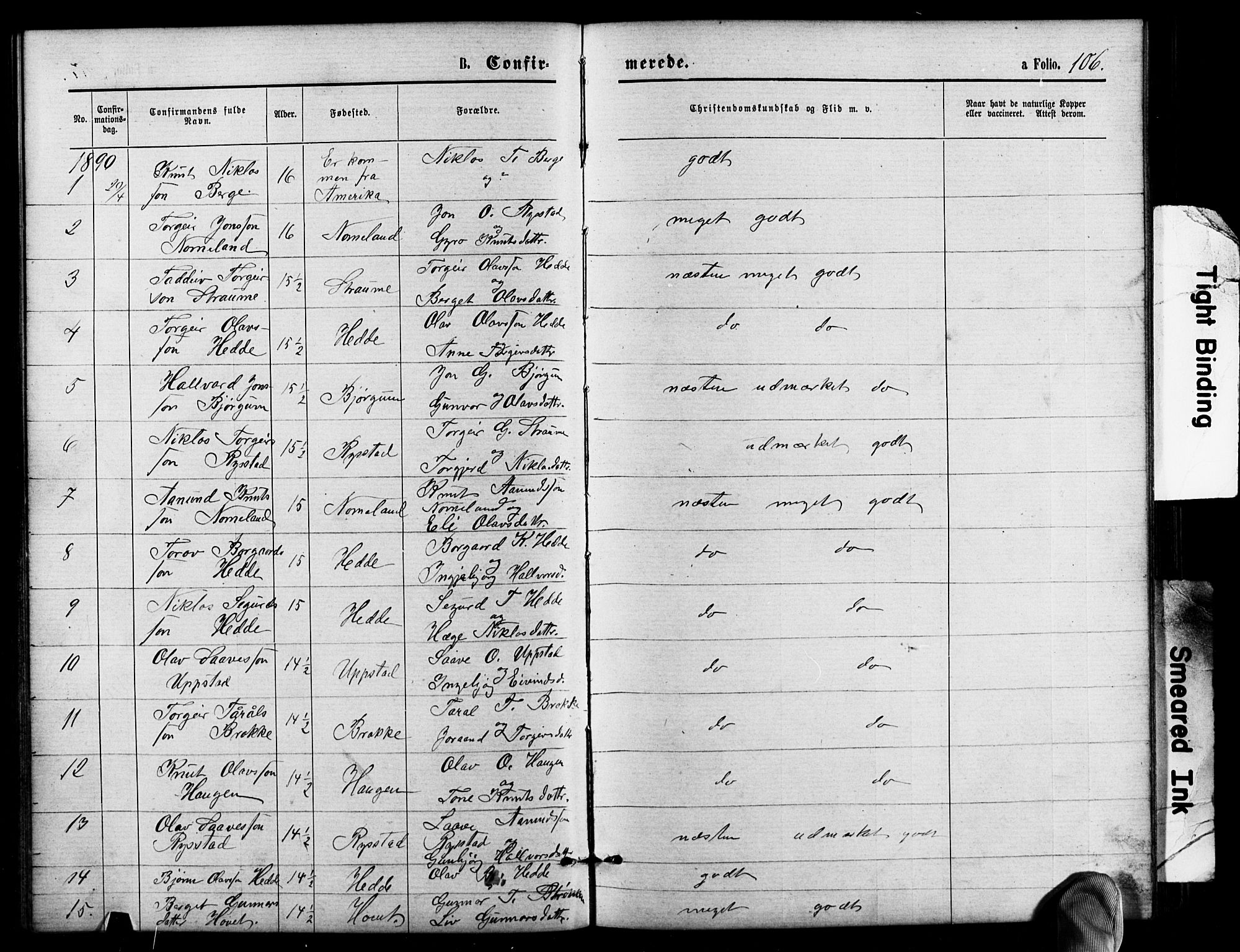 Valle sokneprestkontor, AV/SAK-1111-0044/F/Fb/Fbb/L0002: Parish register (copy) no. B 2, 1875-1921, p. 106