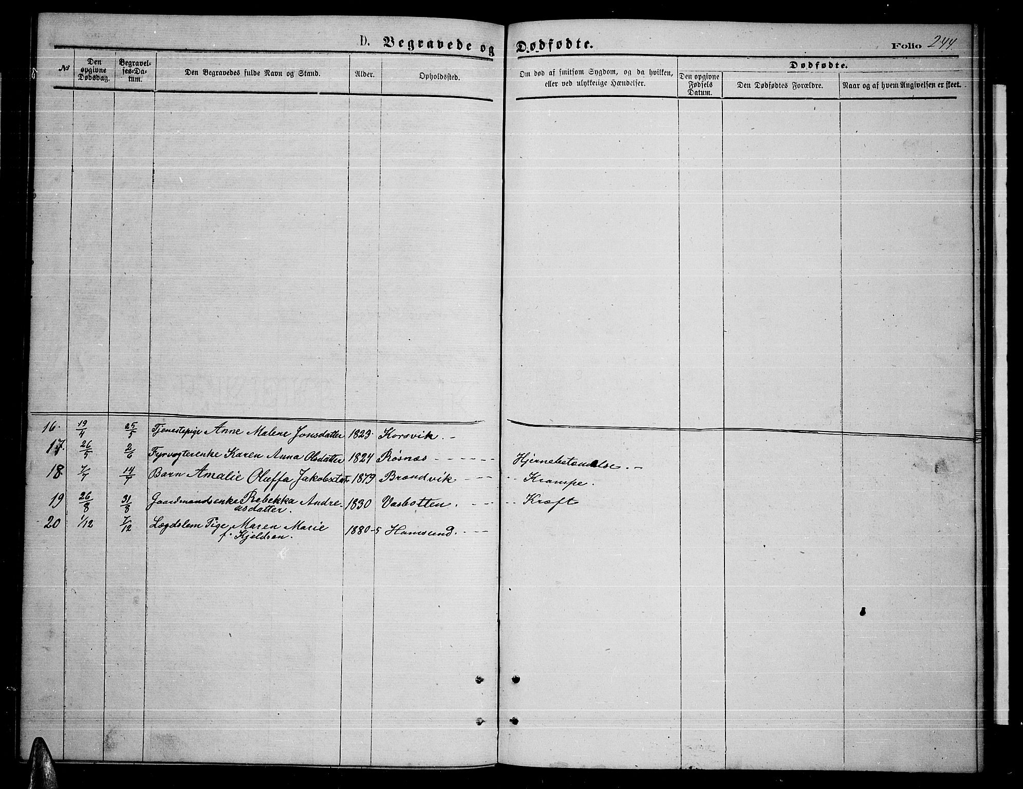 Ministerialprotokoller, klokkerbøker og fødselsregistre - Nordland, AV/SAT-A-1459/859/L0858: Parish register (copy) no. 859C04, 1873-1886, p. 244