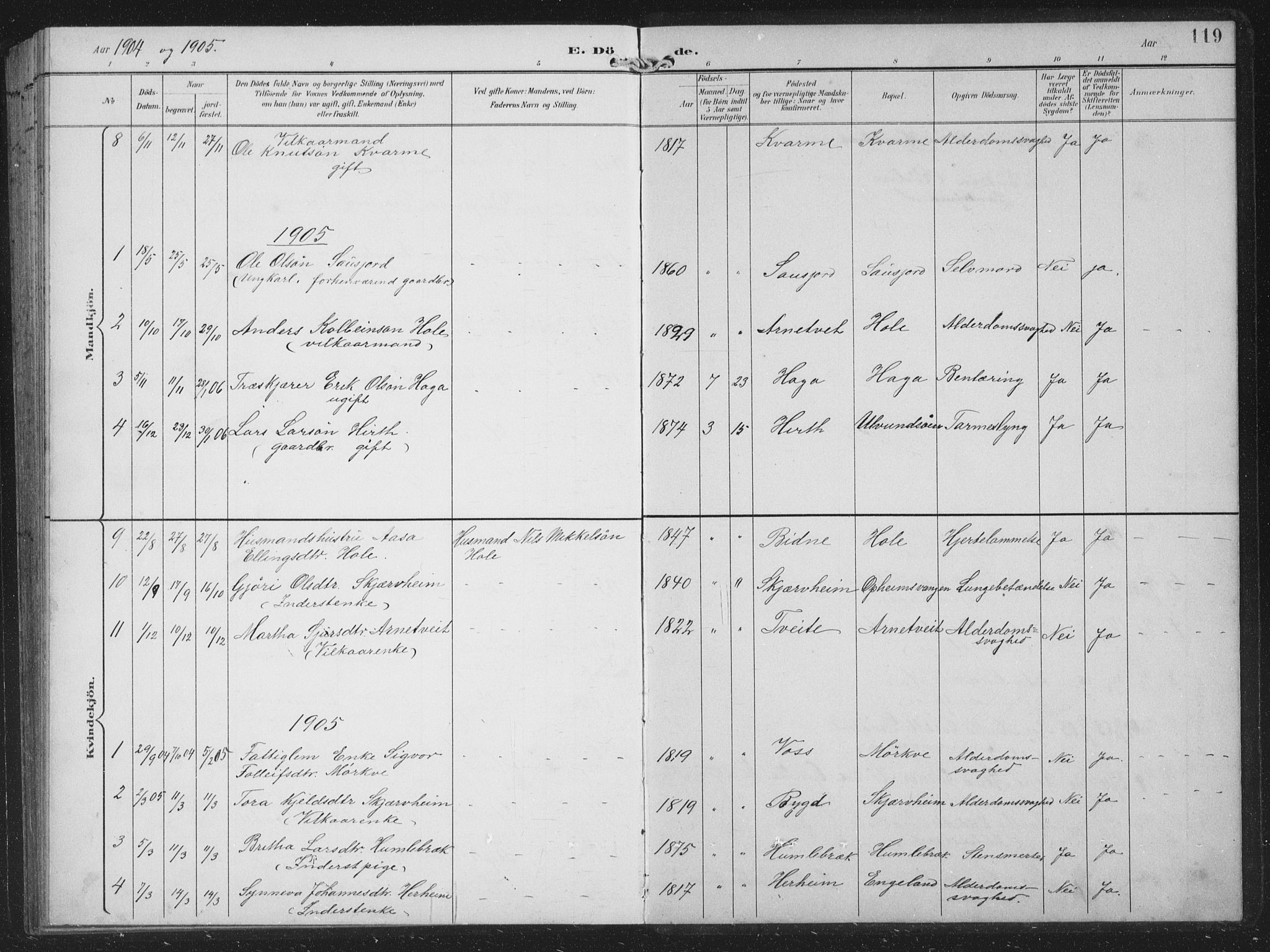 Vossestrand Sokneprestembete, SAB/A-79101/H/Hab: Parish register (copy) no. B 4, 1894-1941, p. 119
