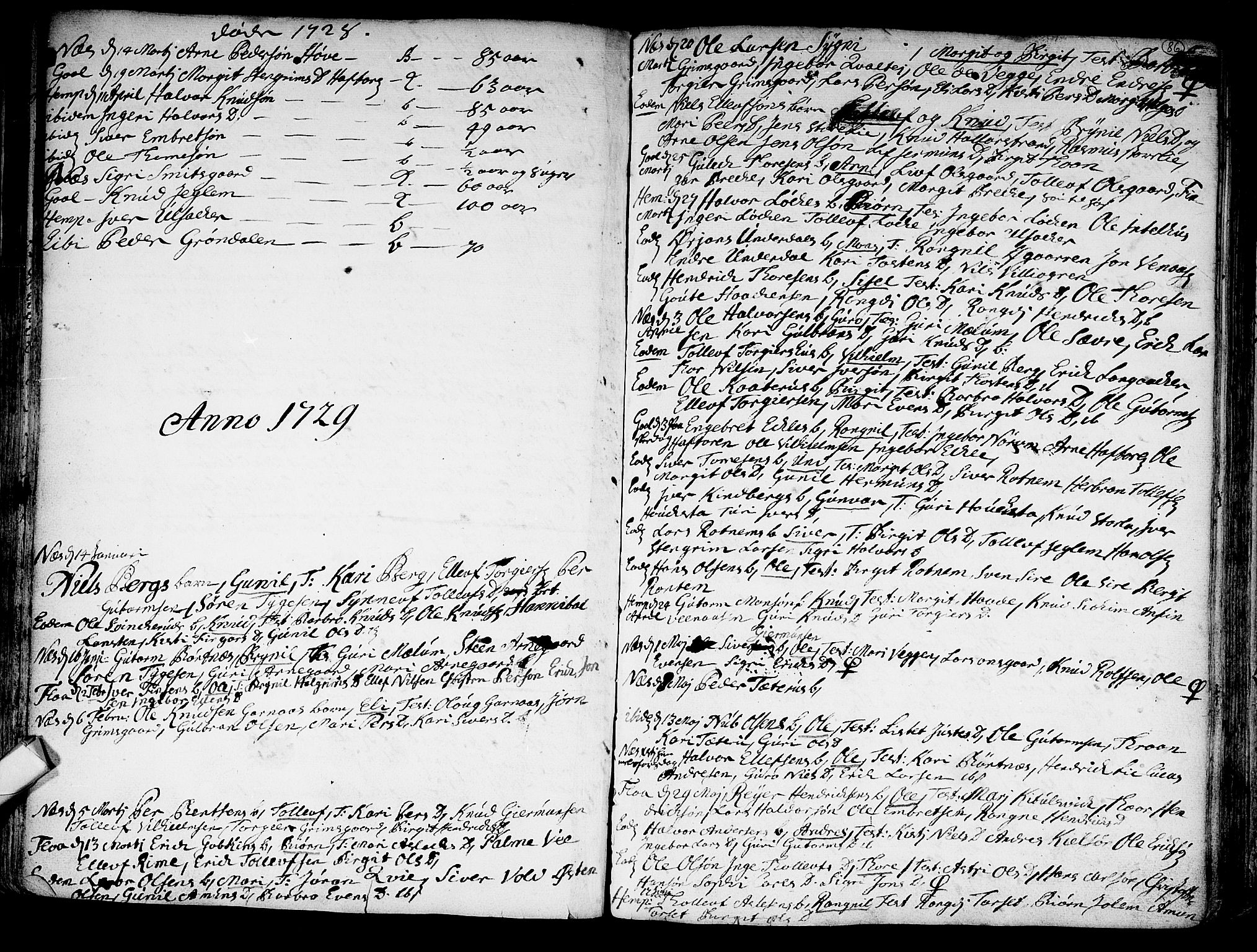 Nes kirkebøker, SAKO/A-236/F/Fa/L0002: Parish register (official) no. 2, 1707-1759, p. 86