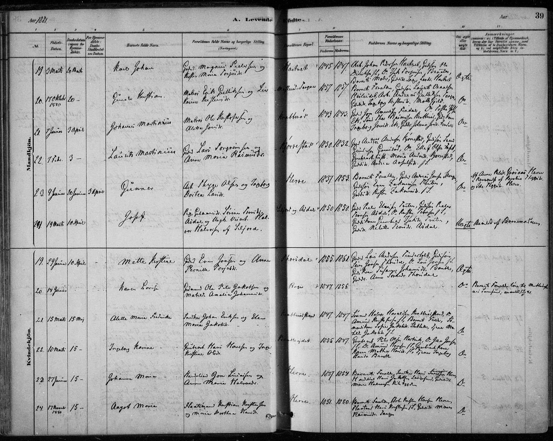 Bamble kirkebøker, AV/SAKO-A-253/F/Fa/L0007: Parish register (official) no. I 7, 1878-1888, p. 39