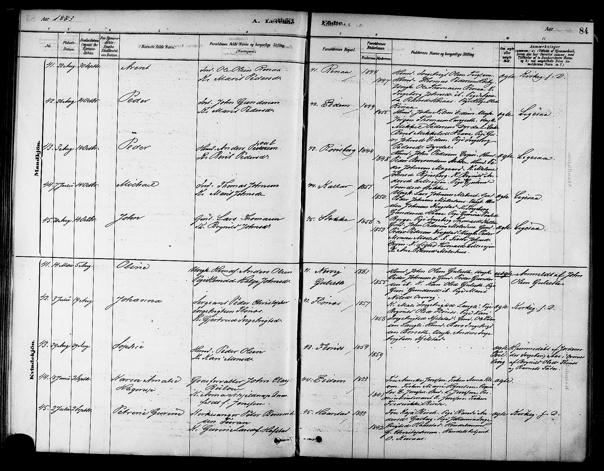 Ministerialprotokoller, klokkerbøker og fødselsregistre - Sør-Trøndelag, AV/SAT-A-1456/695/L1148: Parish register (official) no. 695A08, 1878-1891, p. 84