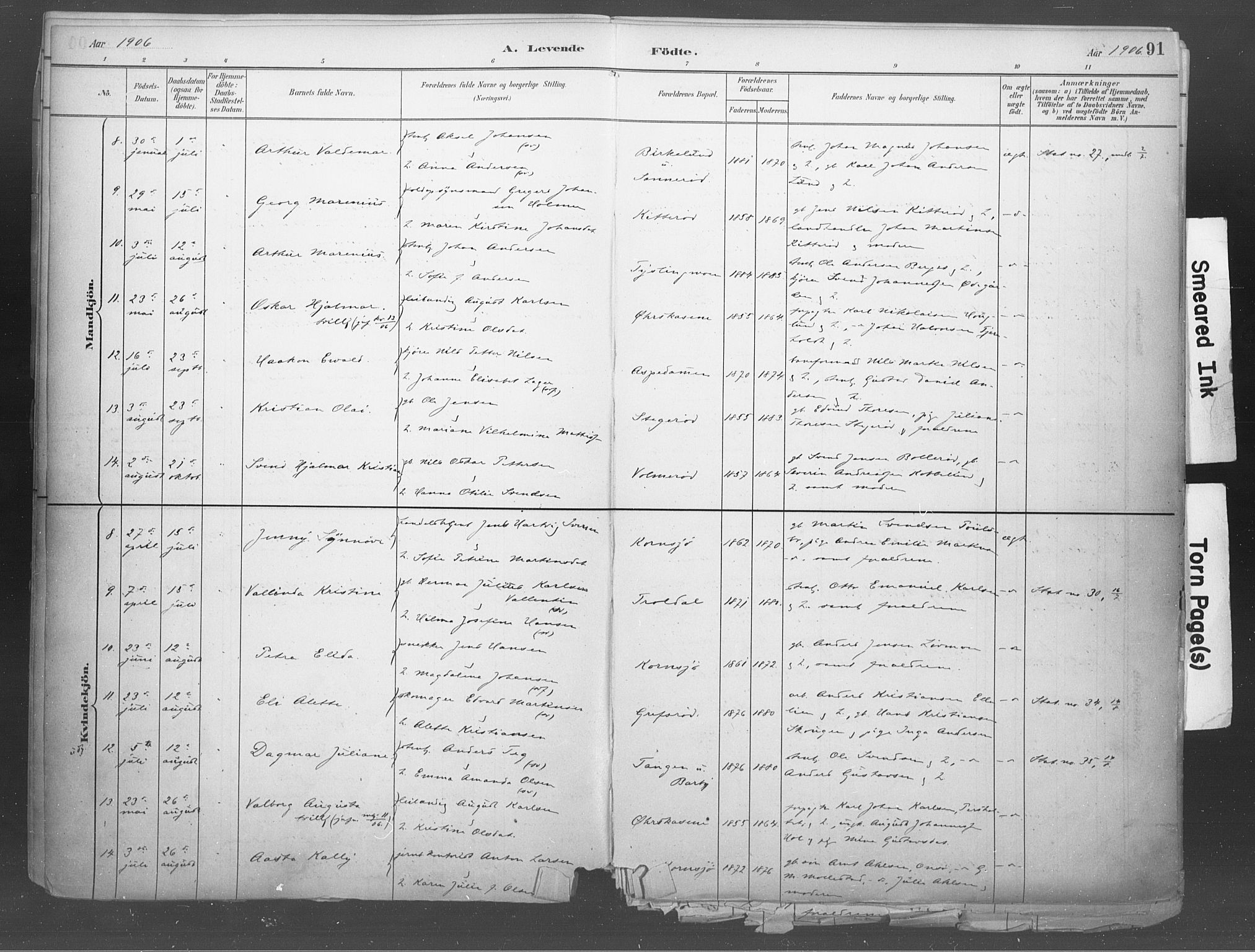 Idd prestekontor Kirkebøker, SAO/A-10911/F/Fb/L0002: Parish register (official) no. II 2, 1882-1923, p. 91