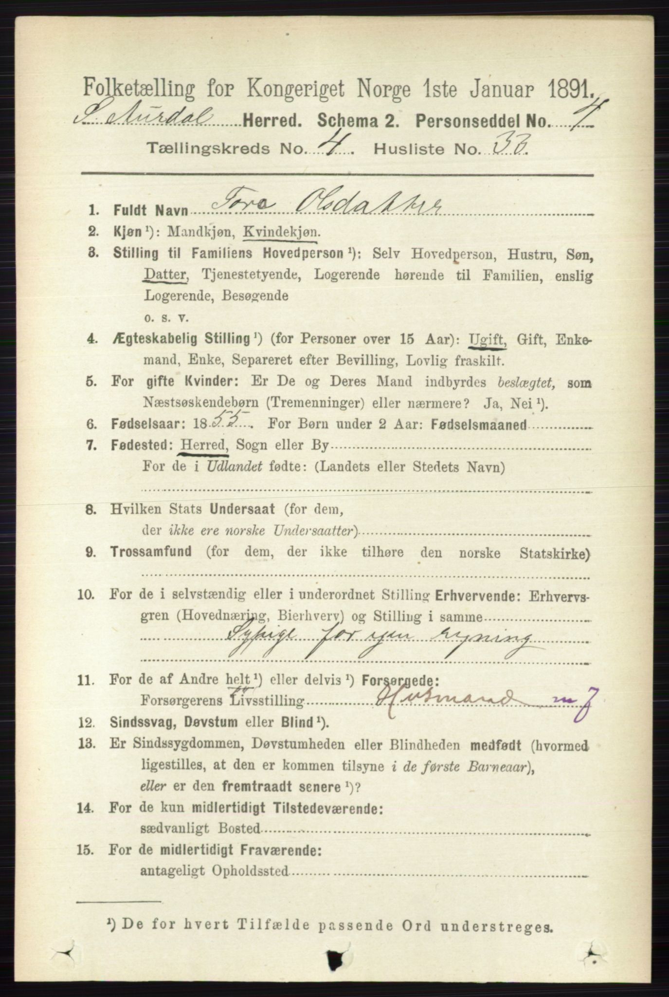 RA, 1891 census for 0540 Sør-Aurdal, 1891, p. 2923