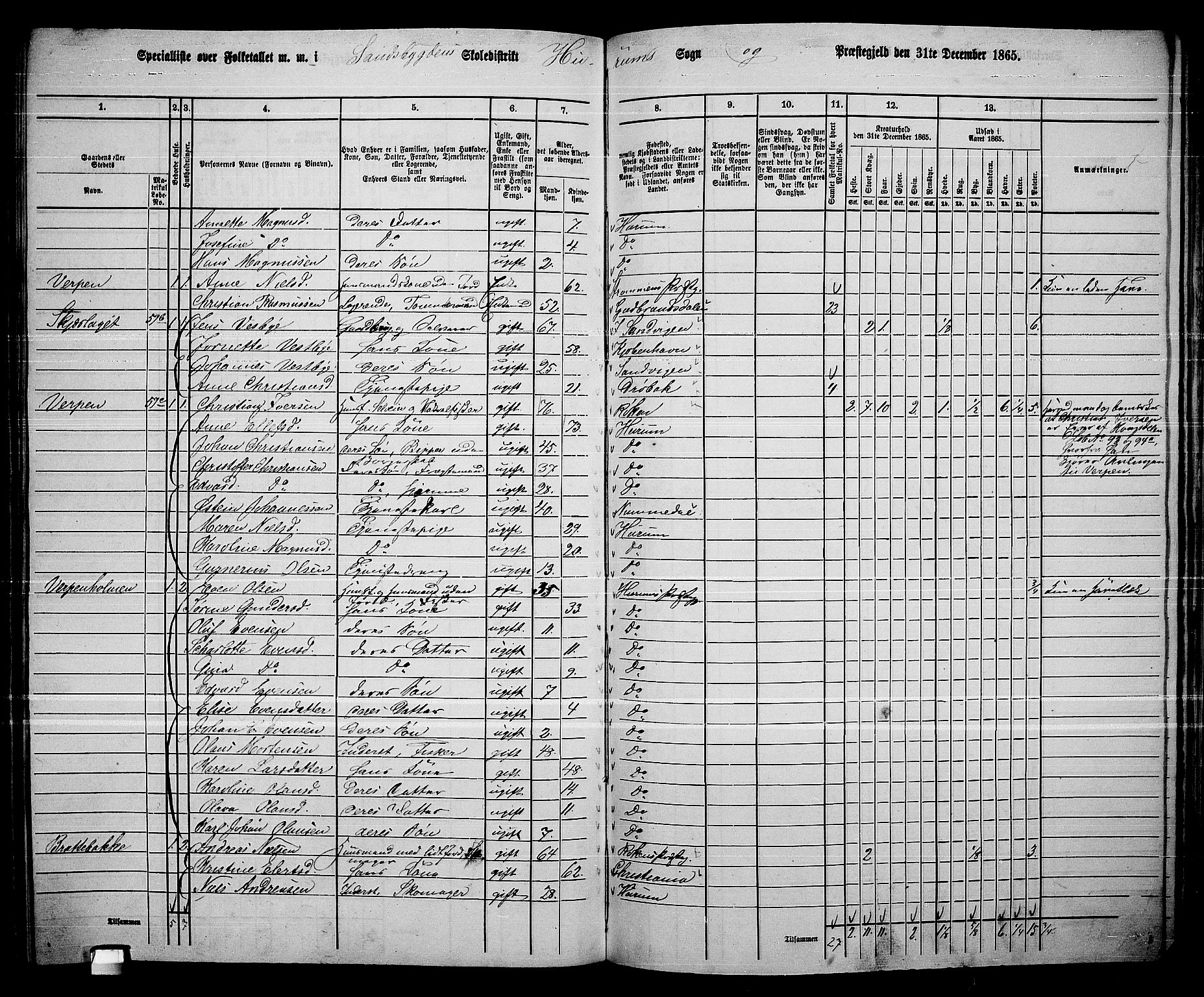 RA, 1865 census for Hurum, 1865, p. 86