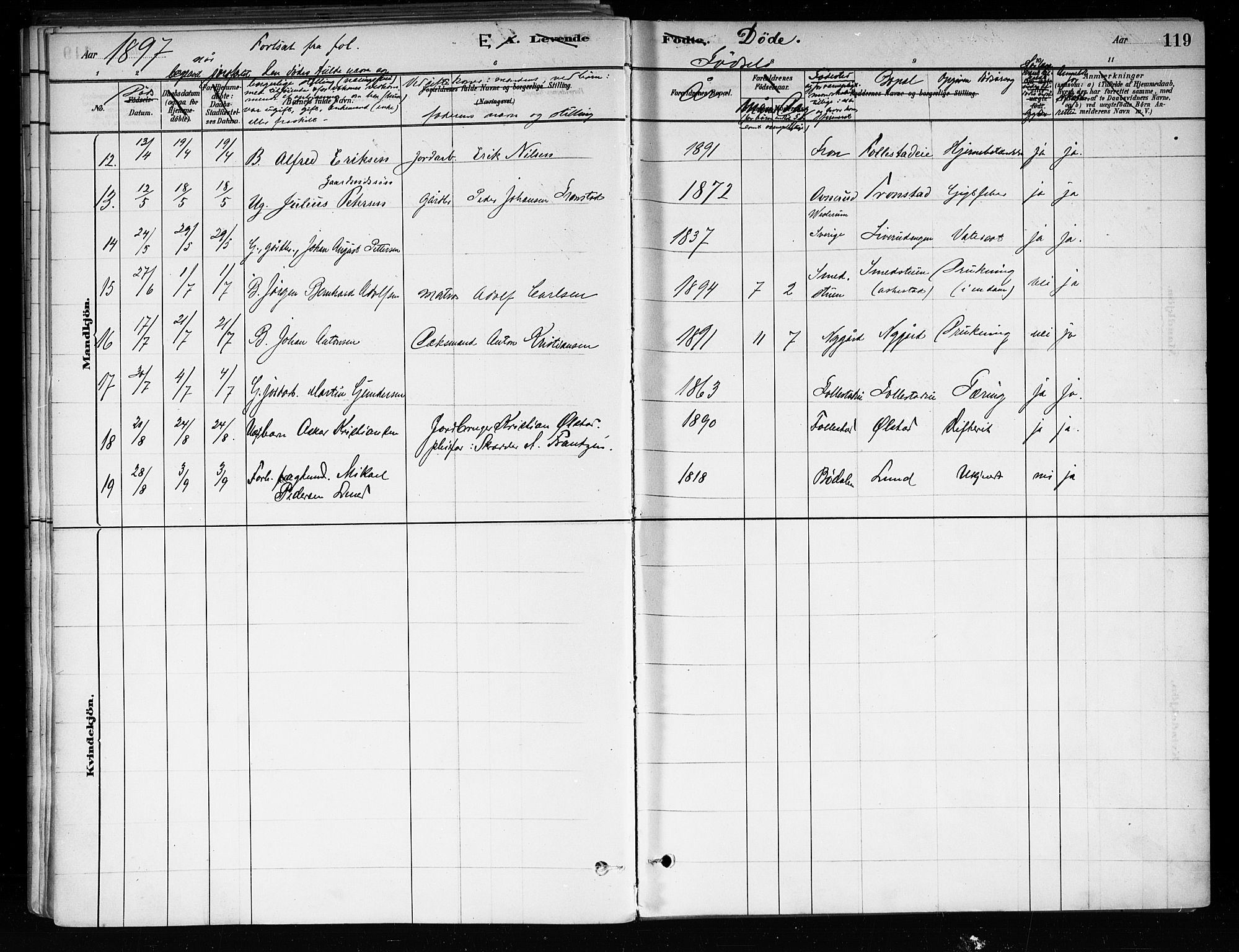 Røyken kirkebøker, AV/SAKO-A-241/F/Fa/L0008: Parish register (official) no. 8, 1880-1897, p. 119