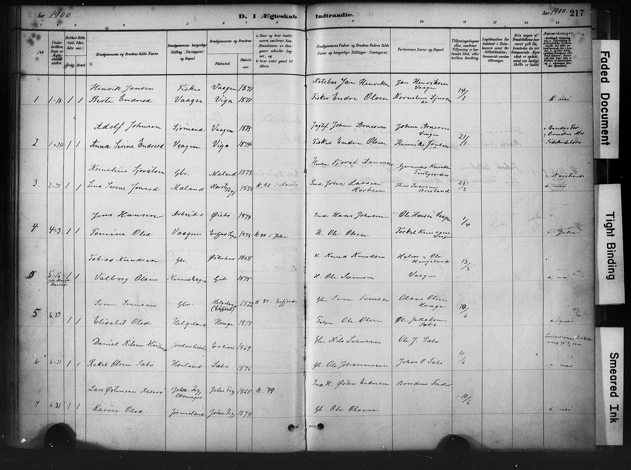 Hjelmeland sokneprestkontor, AV/SAST-A-101843/01/IV/L0014: Parish register (official) no. A 14, 1879-1900, p. 217