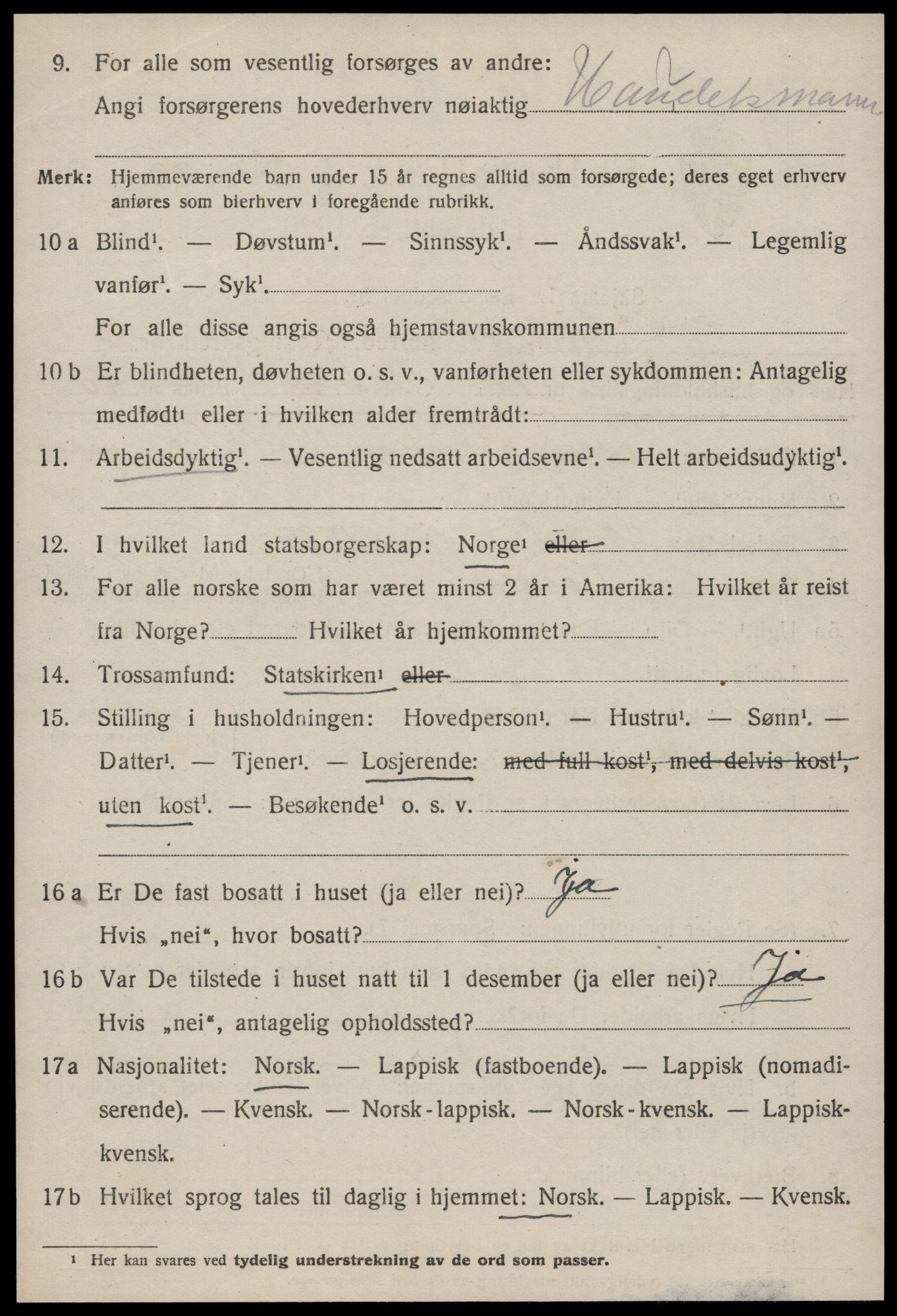 SAT, 1920 census for Strinda, 1920, p. 16905