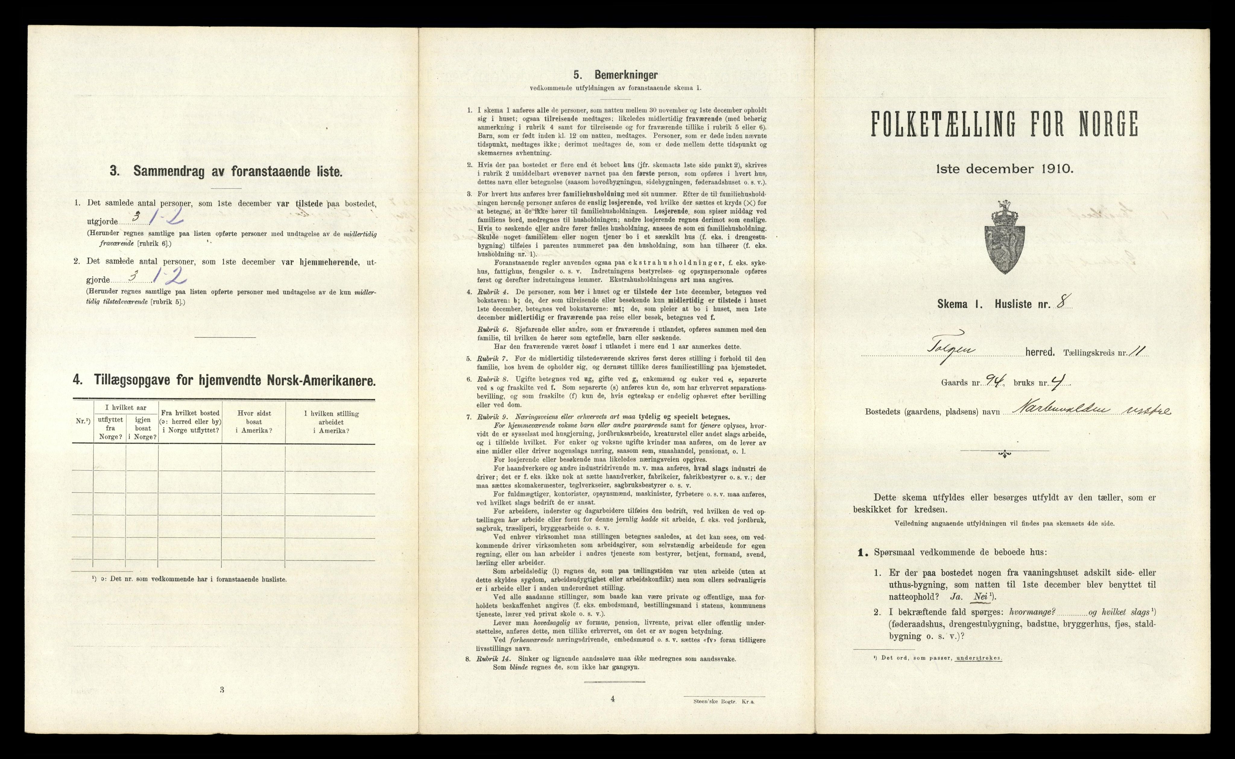 RA, 1910 census for Tolga, 1910, p. 738