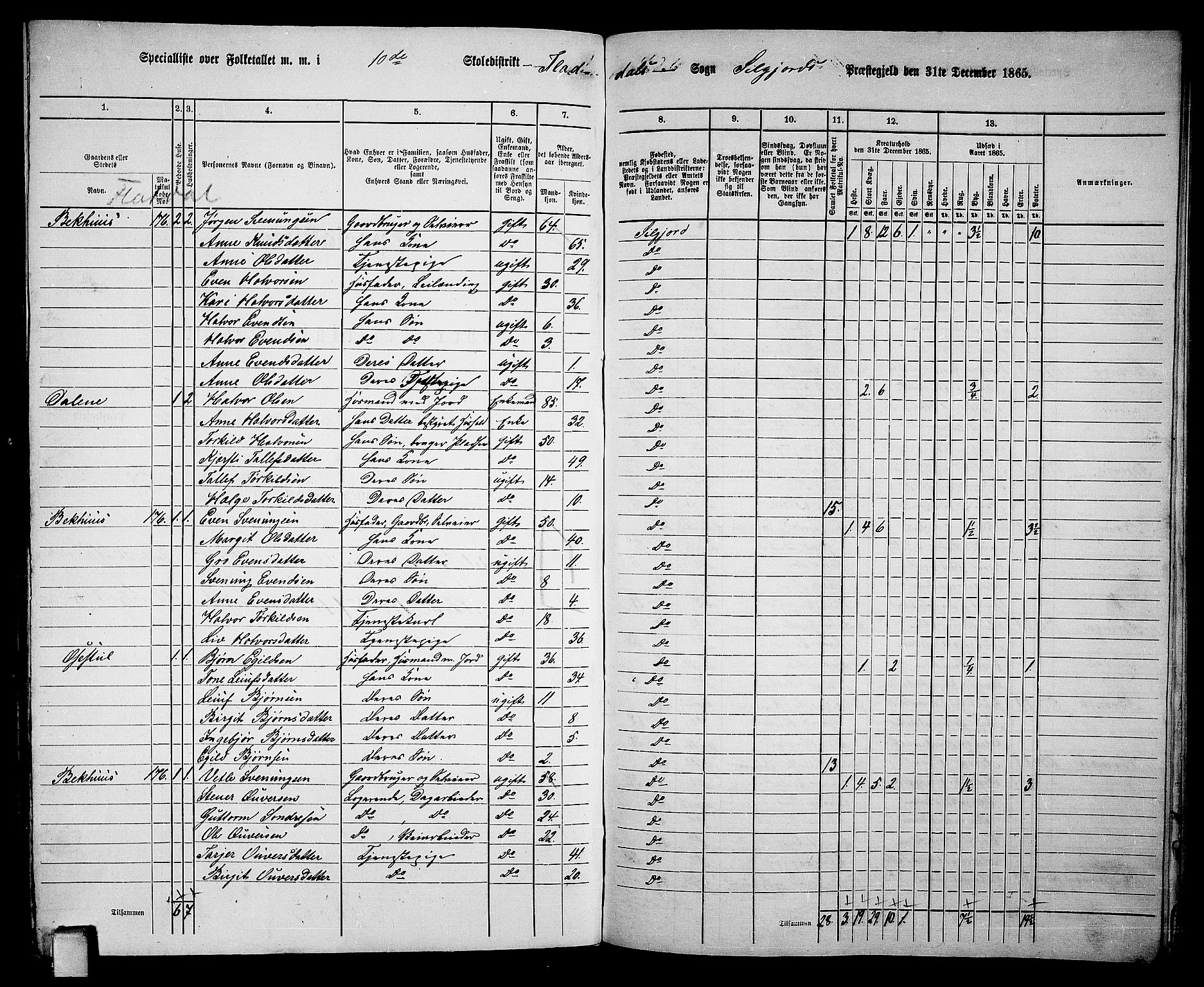 RA, 1865 census for Seljord, 1865, p. 133