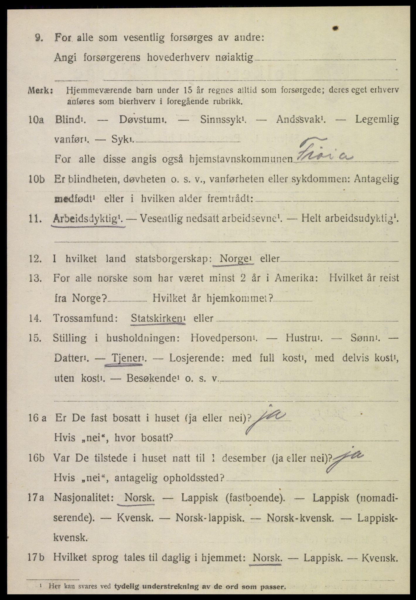 SAT, 1920 census for Stjørdal, 1920, p. 1369