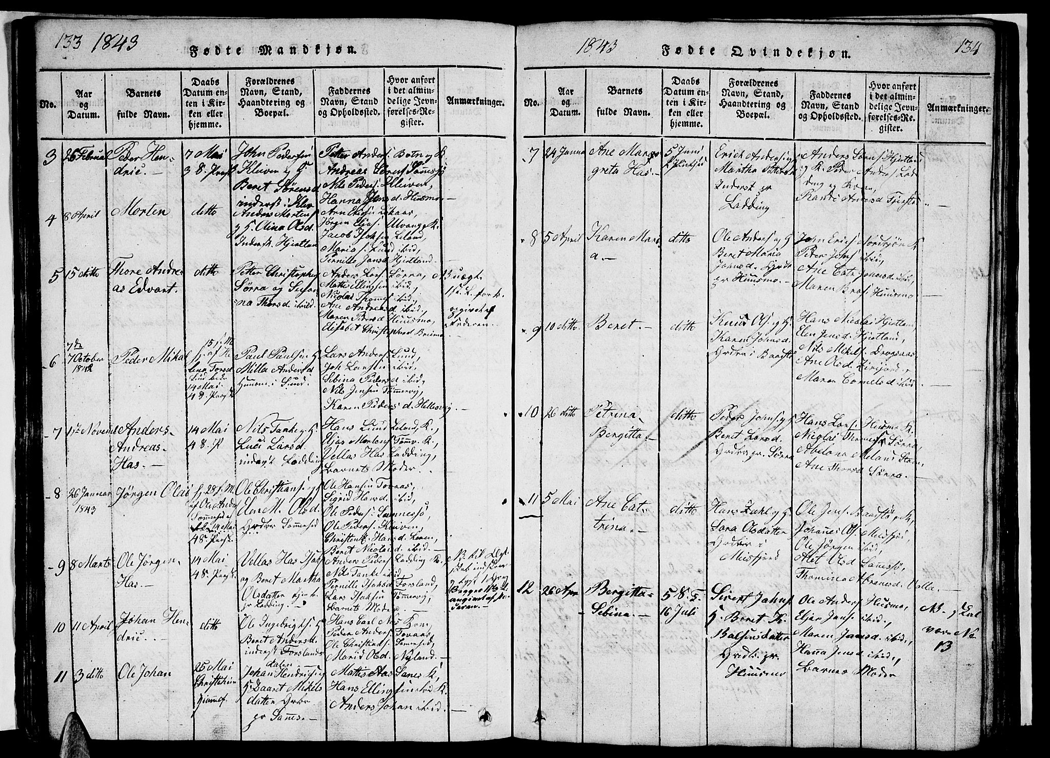 Ministerialprotokoller, klokkerbøker og fødselsregistre - Nordland, AV/SAT-A-1459/831/L0474: Parish register (copy) no. 831C01, 1820-1850, p. 133-134