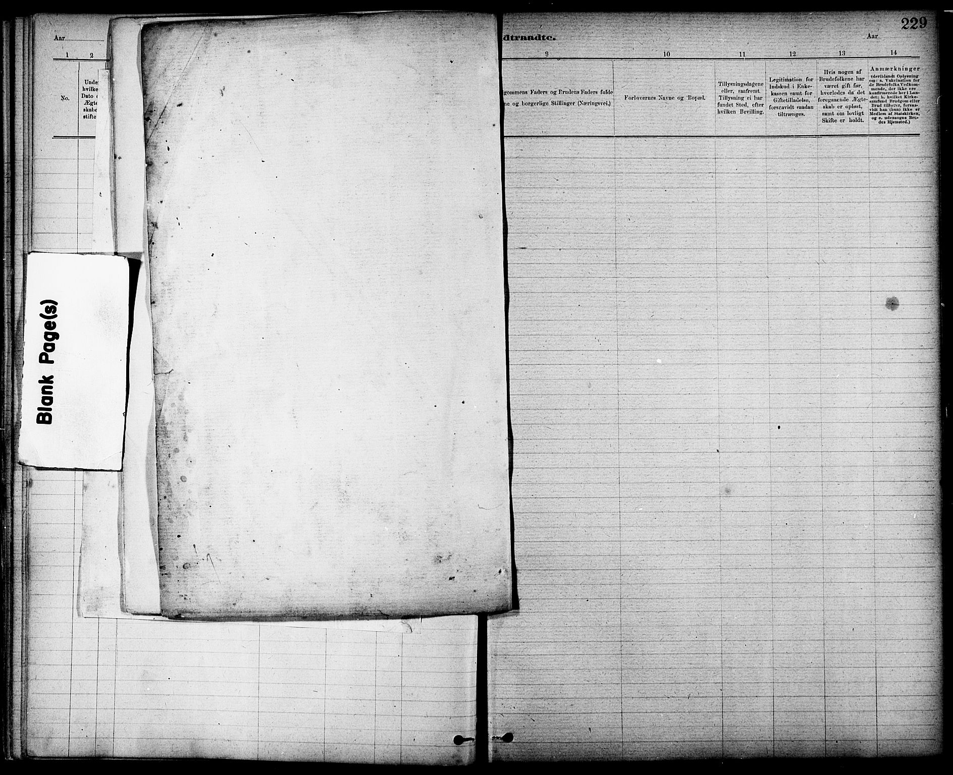 Ministerialprotokoller, klokkerbøker og fødselsregistre - Nord-Trøndelag, SAT/A-1458/724/L0267: Parish register (copy) no. 724C03, 1879-1898, p. 229