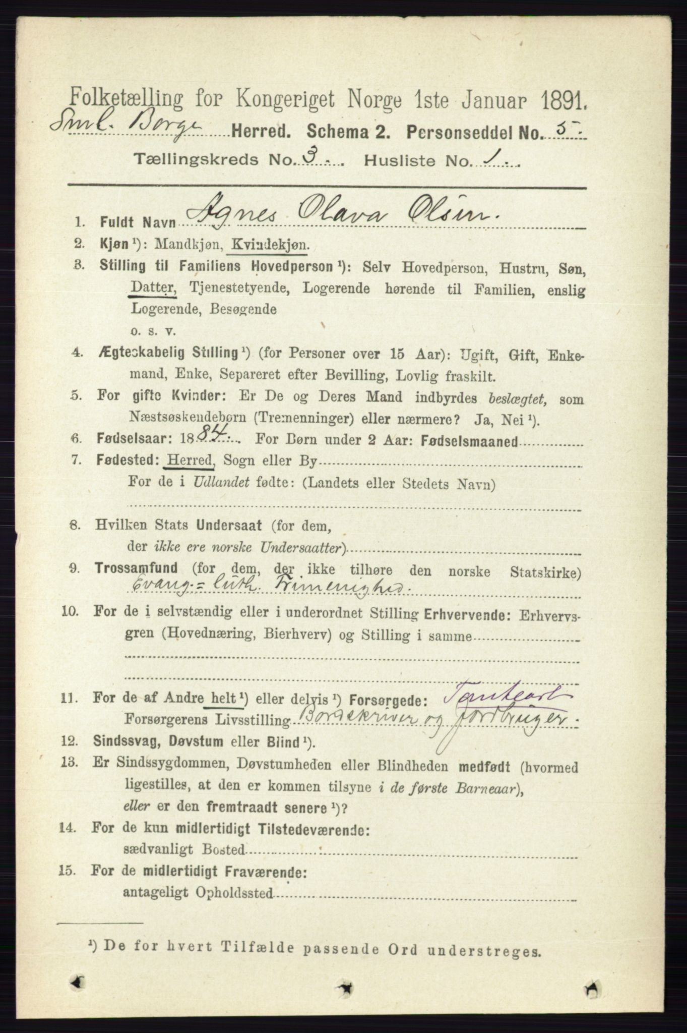 RA, 1891 census for 0113 Borge, 1891, p. 1373