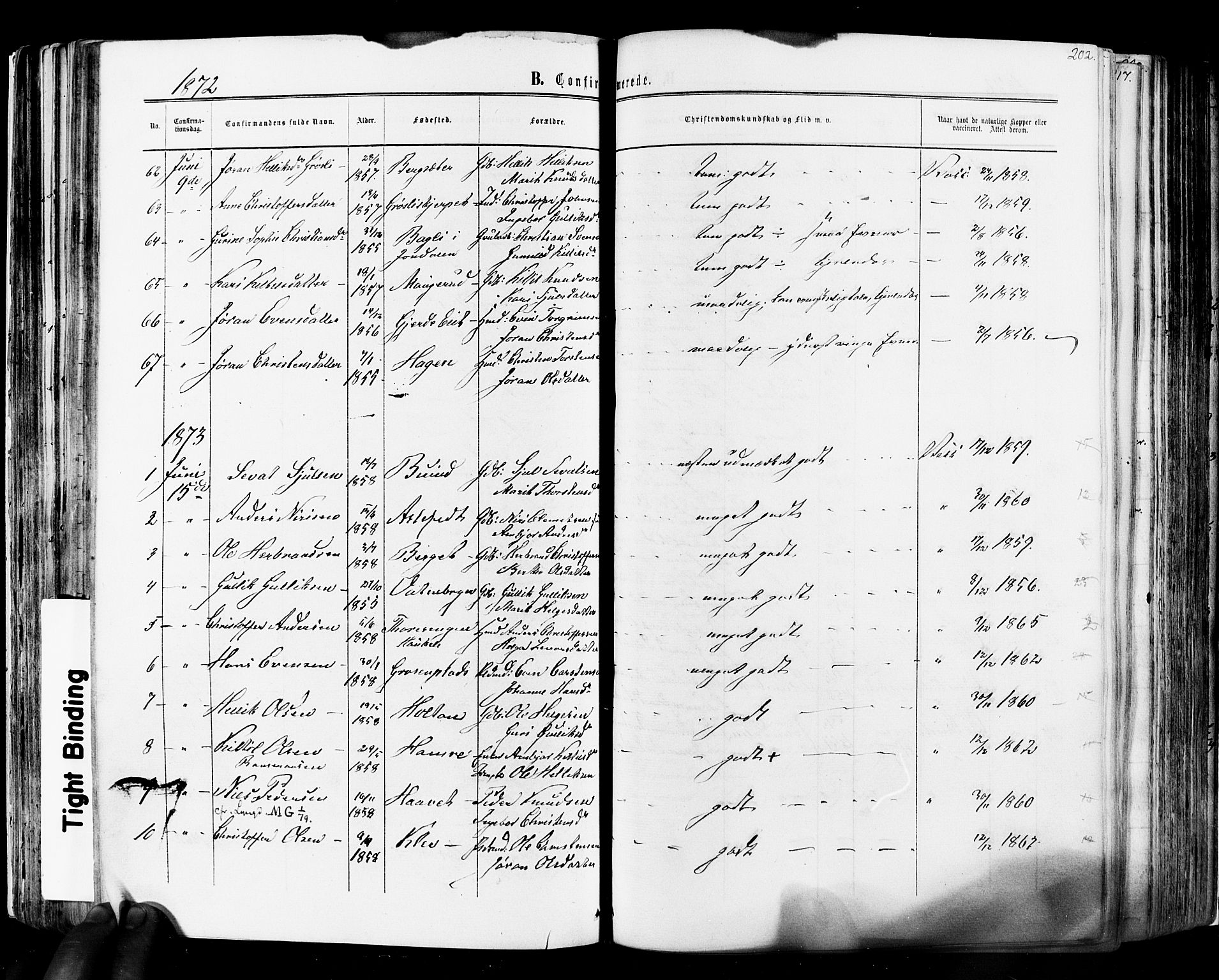 Flesberg kirkebøker, SAKO/A-18/F/Fa/L0007: Parish register (official) no. I 7, 1861-1878, p. 202