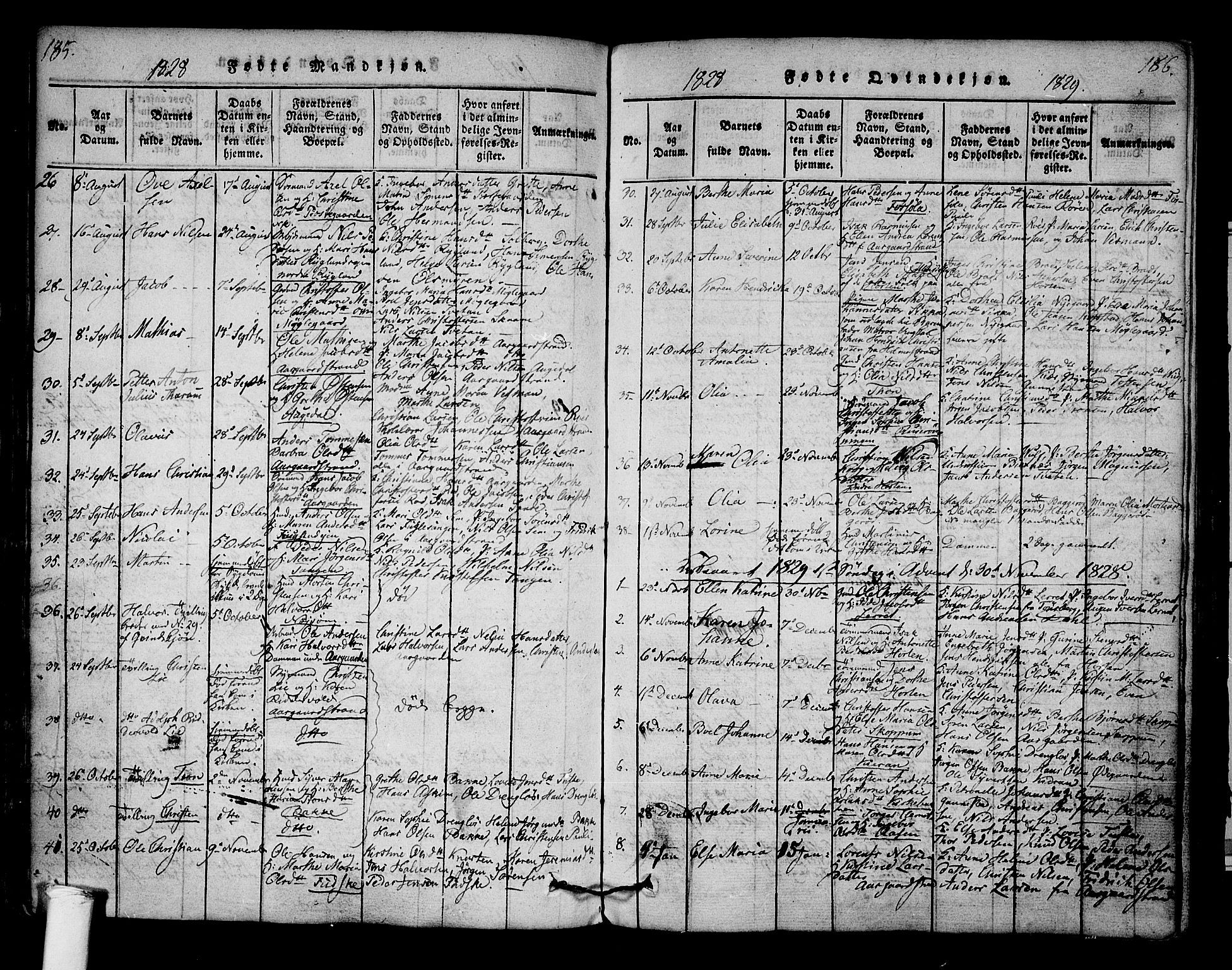 Borre kirkebøker, SAKO/A-338/F/Fa/L0004: Parish register (official) no. I 4, 1815-1845, p. 185-186