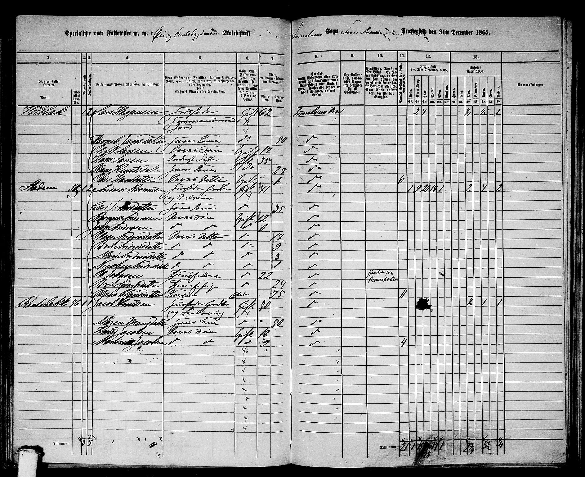 RA, 1865 census for Sunnylven, 1865, p. 51