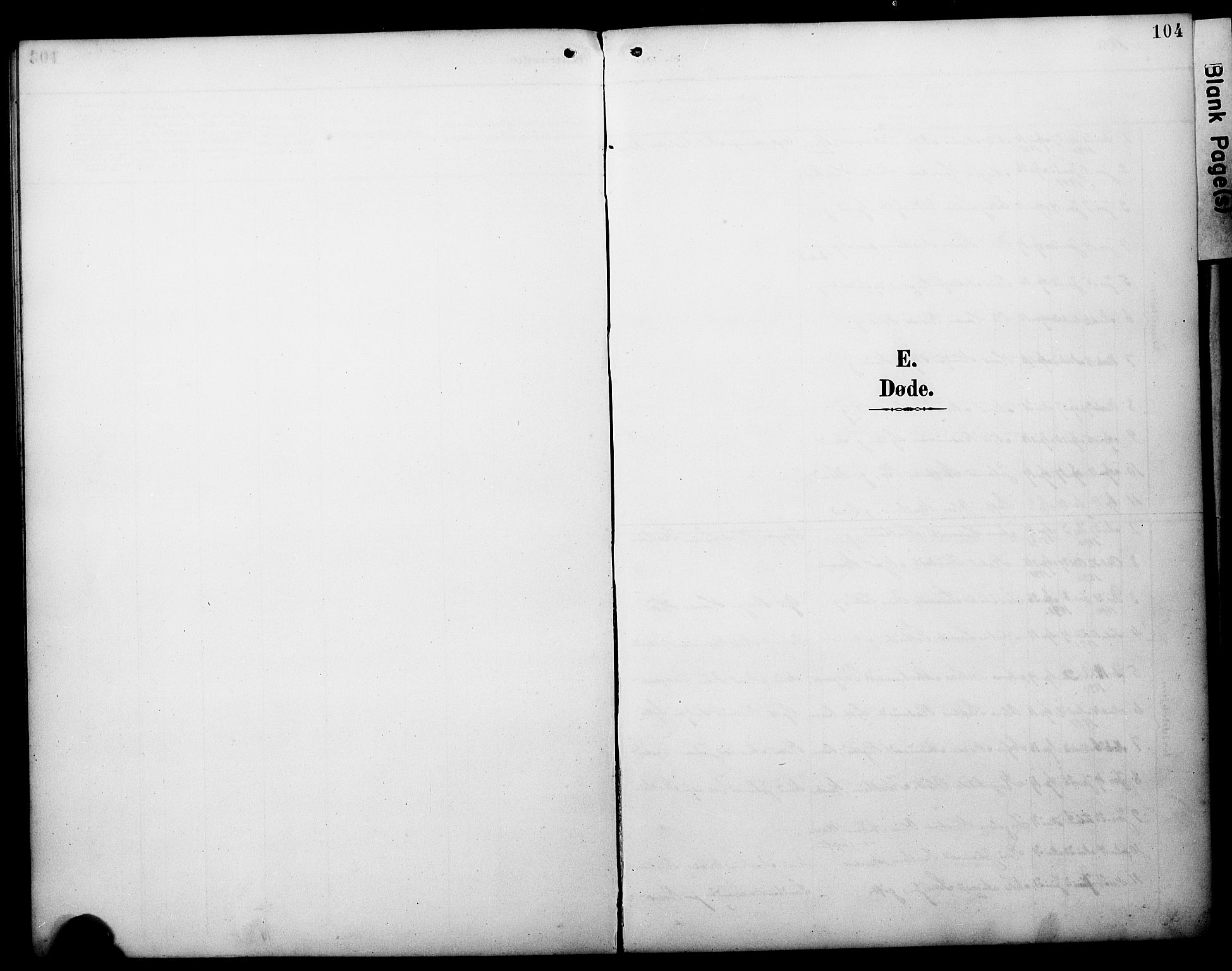 Manger sokneprestembete, SAB/A-76801/H/Haa: Parish register (official) no. C 2, 1891-1902, p. 104