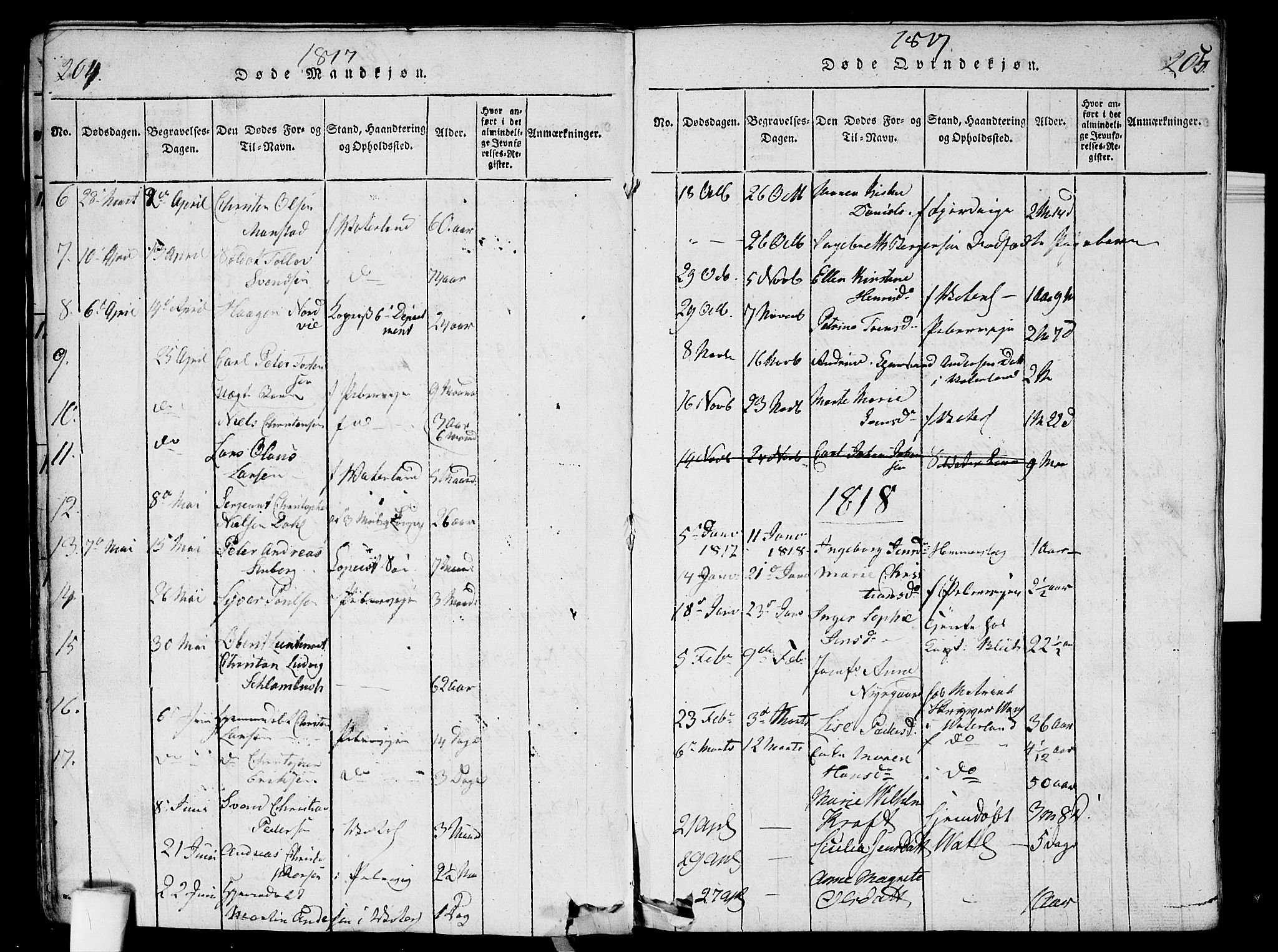 Garnisonsmenigheten Kirkebøker, SAO/A-10846/G/Ga/L0003: Parish register (copy) no. 3, 1815-1819, p. 204-205