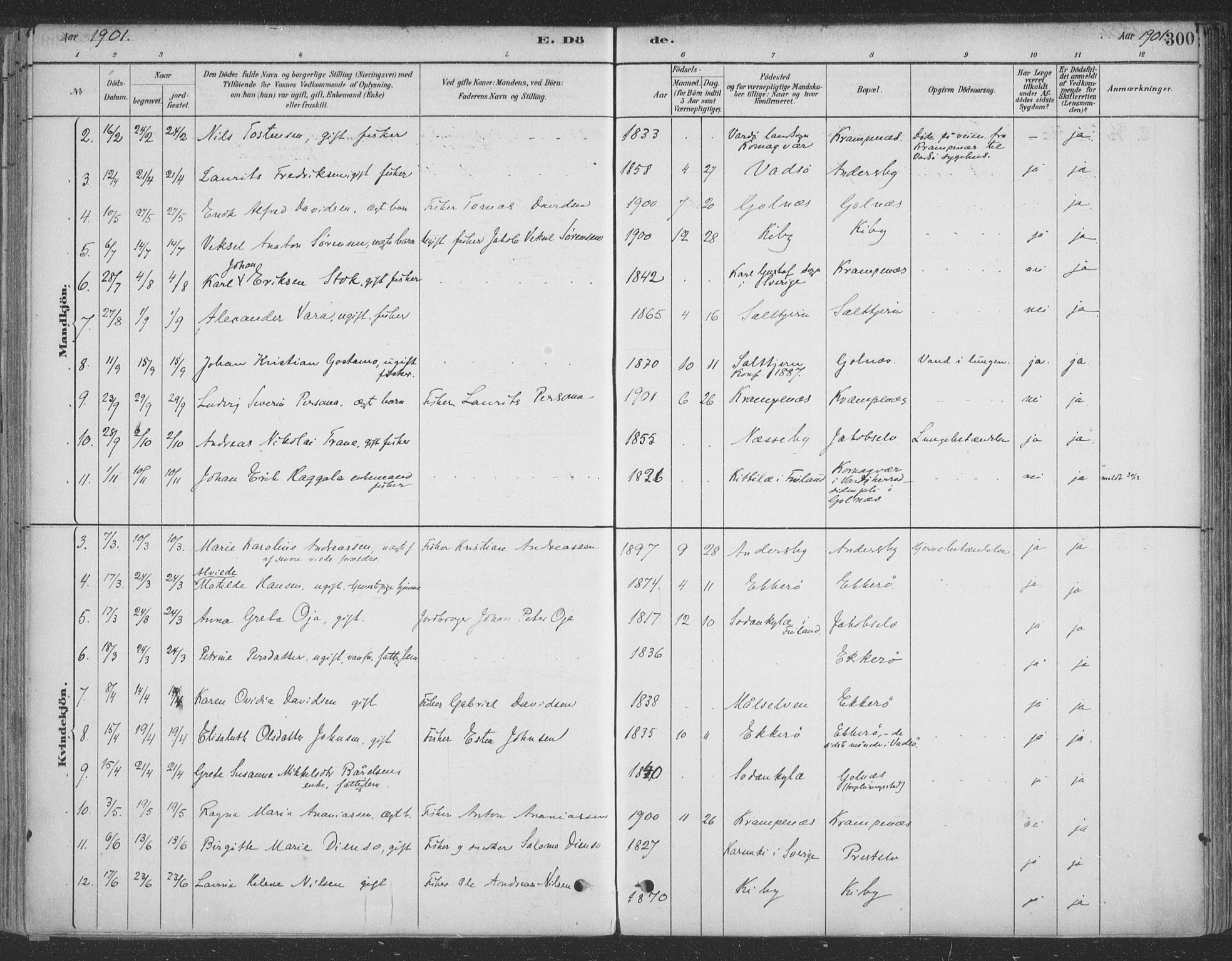 Vadsø sokneprestkontor, SATØ/S-1325/H/Ha/L0009kirke: Parish register (official) no. 9, 1881-1917, p. 300