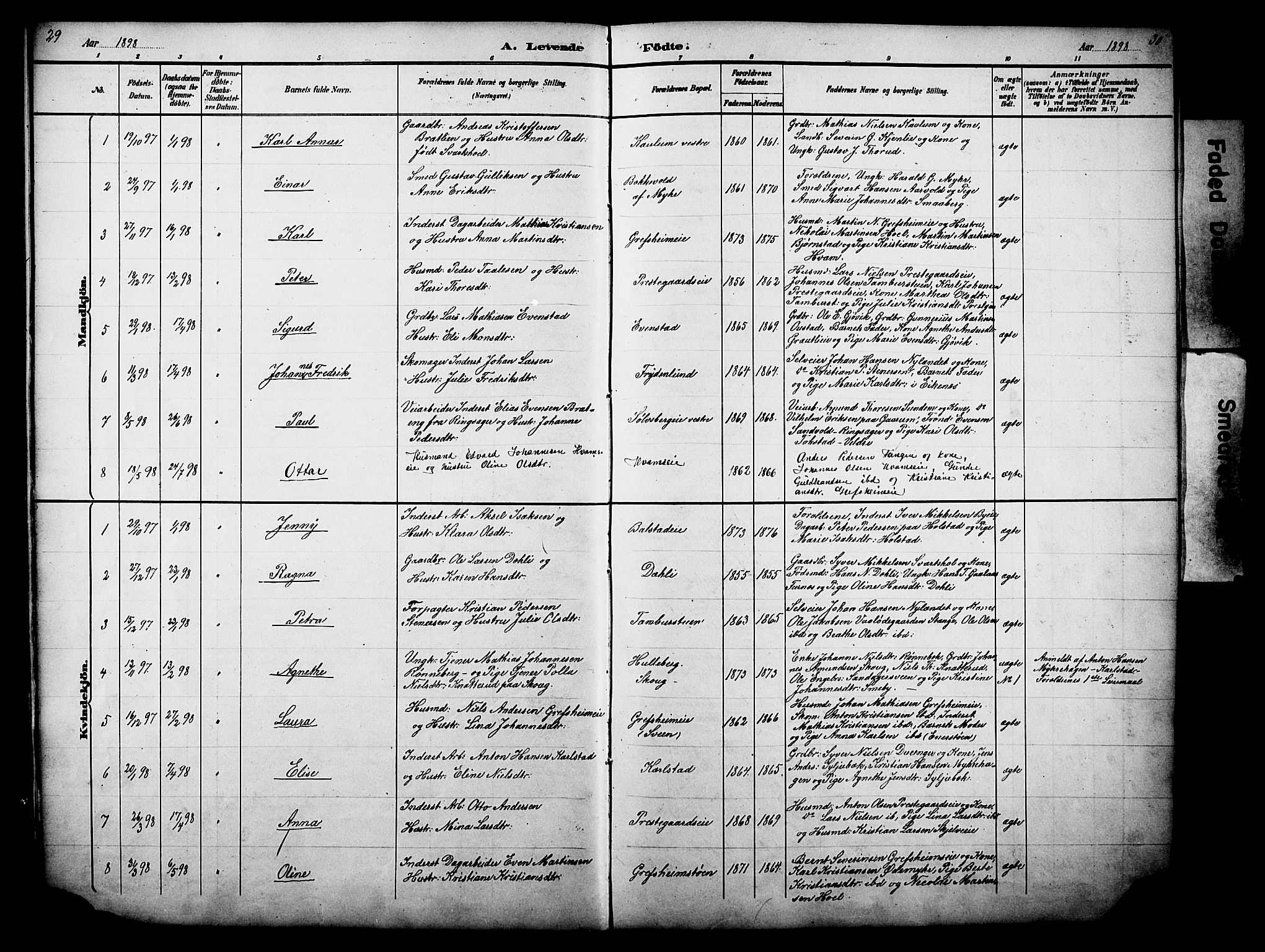 Nes prestekontor, Hedmark, AV/SAH-PREST-020/L/La/L0006: Parish register (copy) no. 6, 1890-1932, p. 29-30