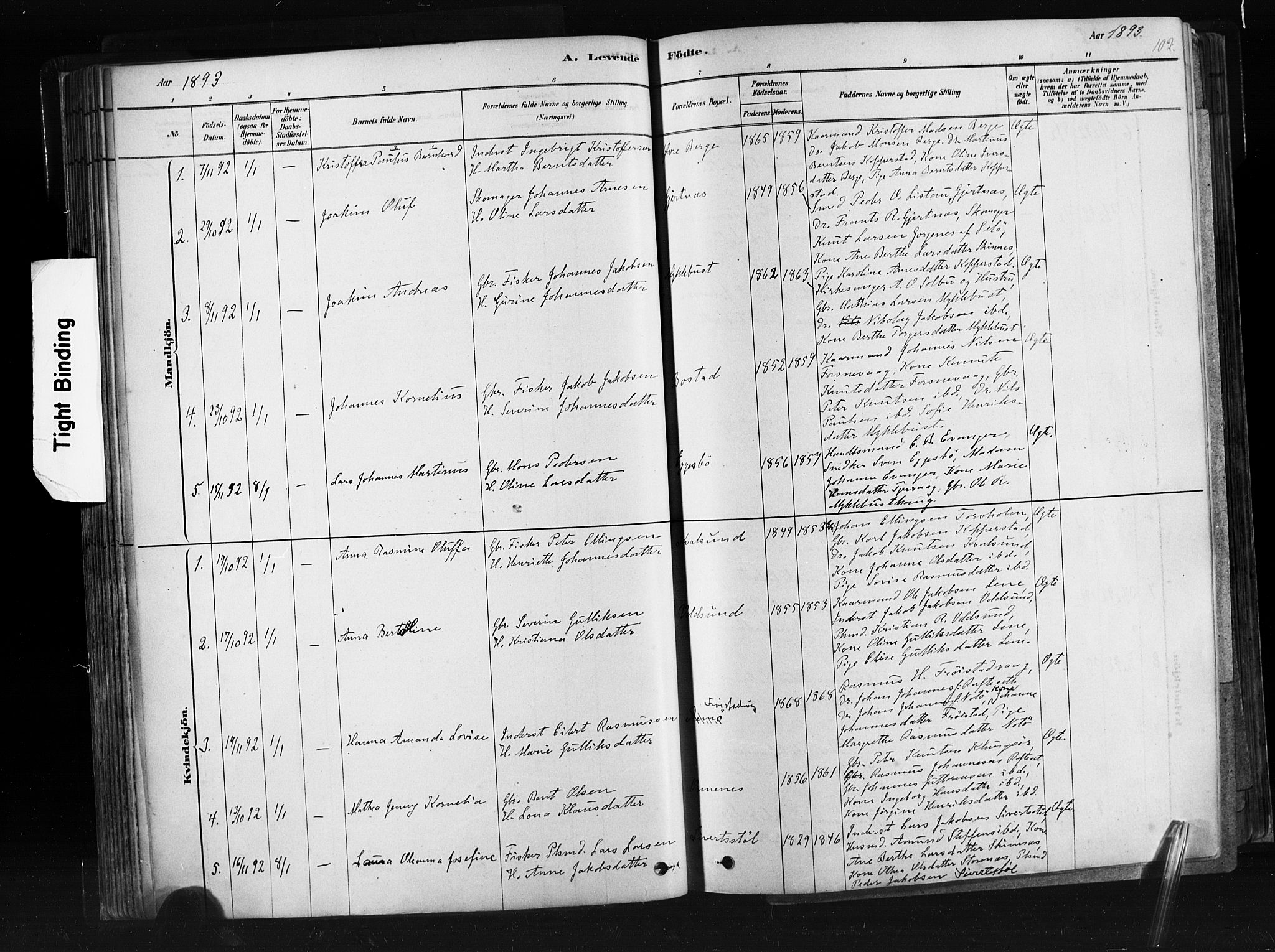 Ministerialprotokoller, klokkerbøker og fødselsregistre - Møre og Romsdal, AV/SAT-A-1454/507/L0073: Parish register (official) no. 507A08, 1878-1904, p. 102