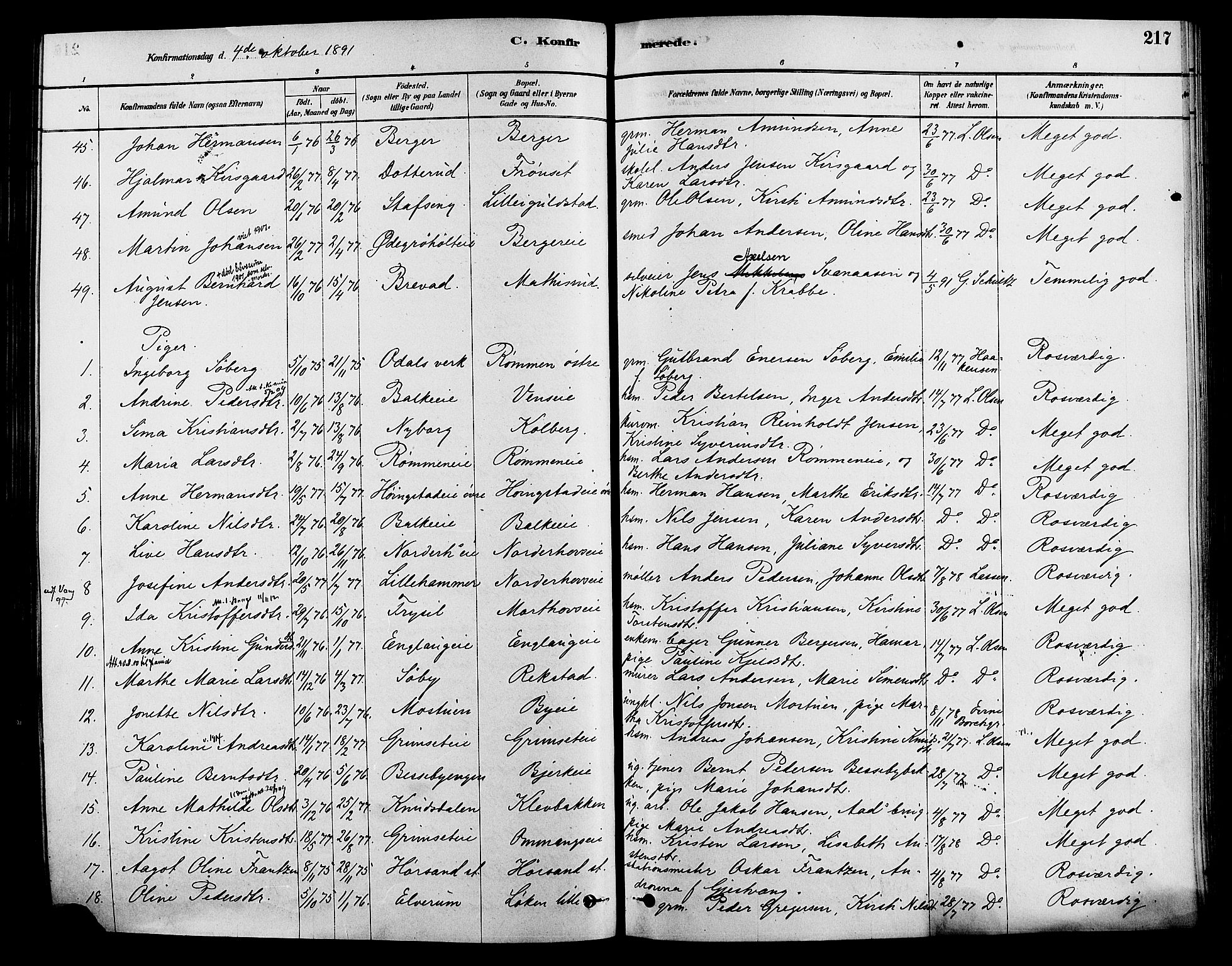 Løten prestekontor, AV/SAH-PREST-022/K/Ka/L0009: Parish register (official) no. 9, 1878-1891, p. 217