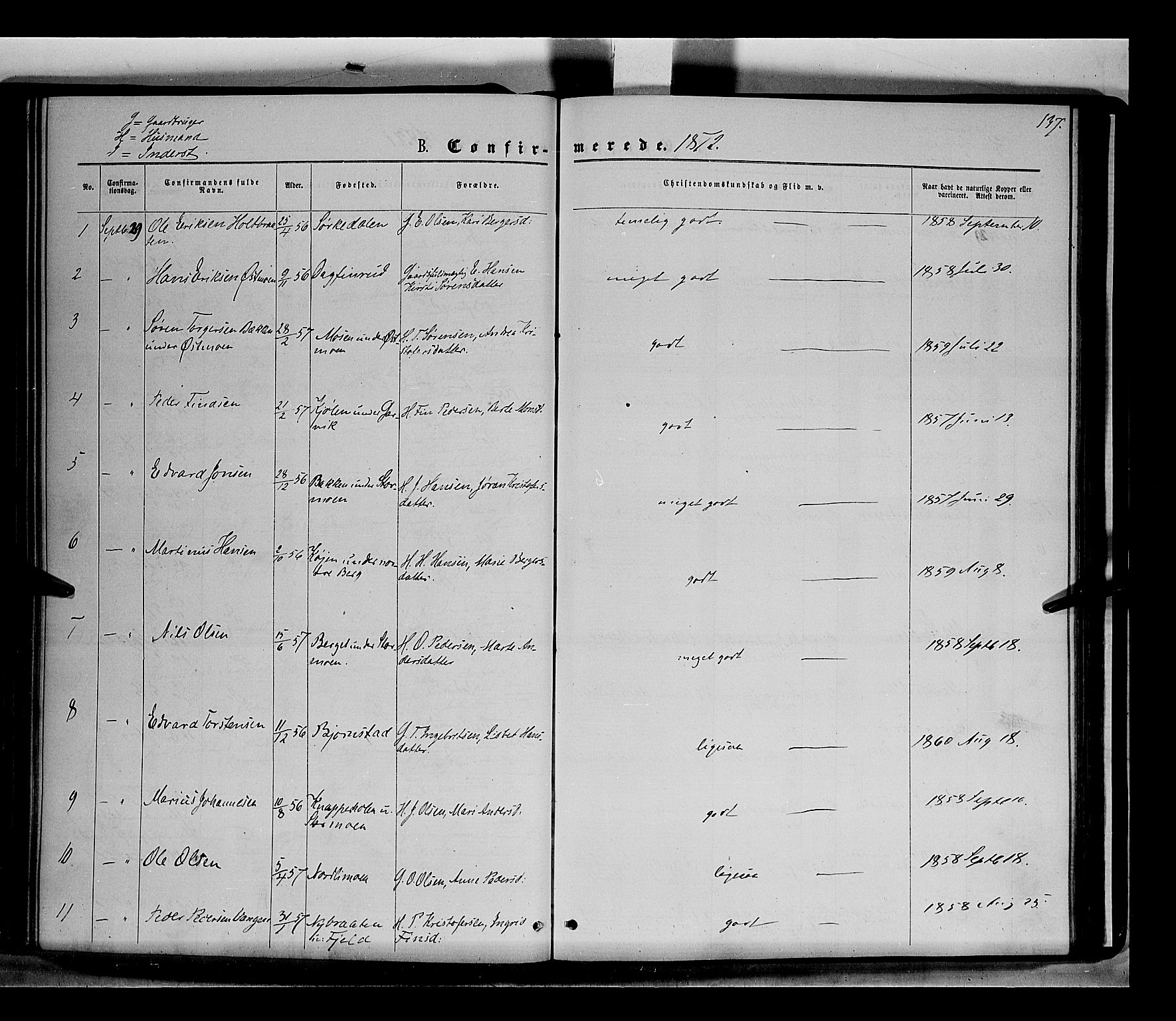 Nord-Odal prestekontor, AV/SAH-PREST-032/H/Ha/Haa/L0004: Parish register (official) no. 4, 1866-1873, p. 137