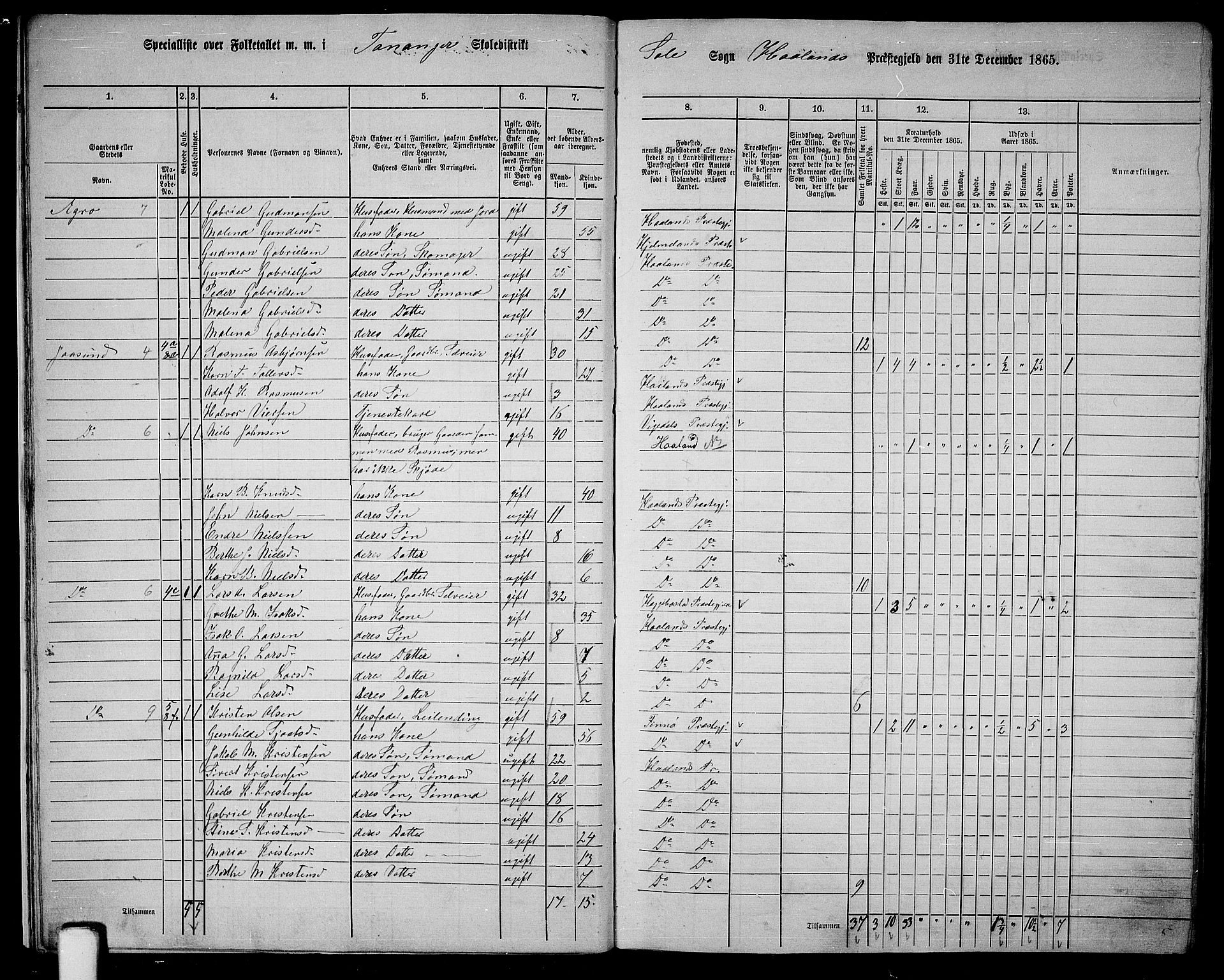 RA, 1865 census for Håland, 1865, p. 13