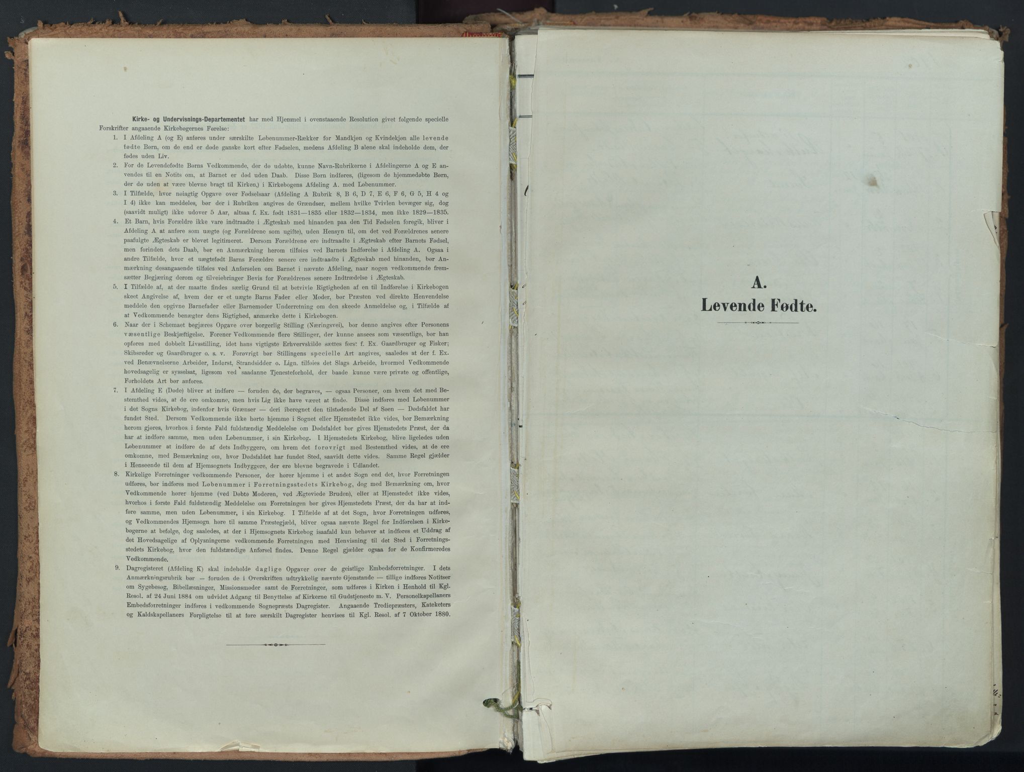 Eidsberg prestekontor Kirkebøker, AV/SAO-A-10905/F/Fa/L0014: Parish register (official) no. I 14, 1902-1919