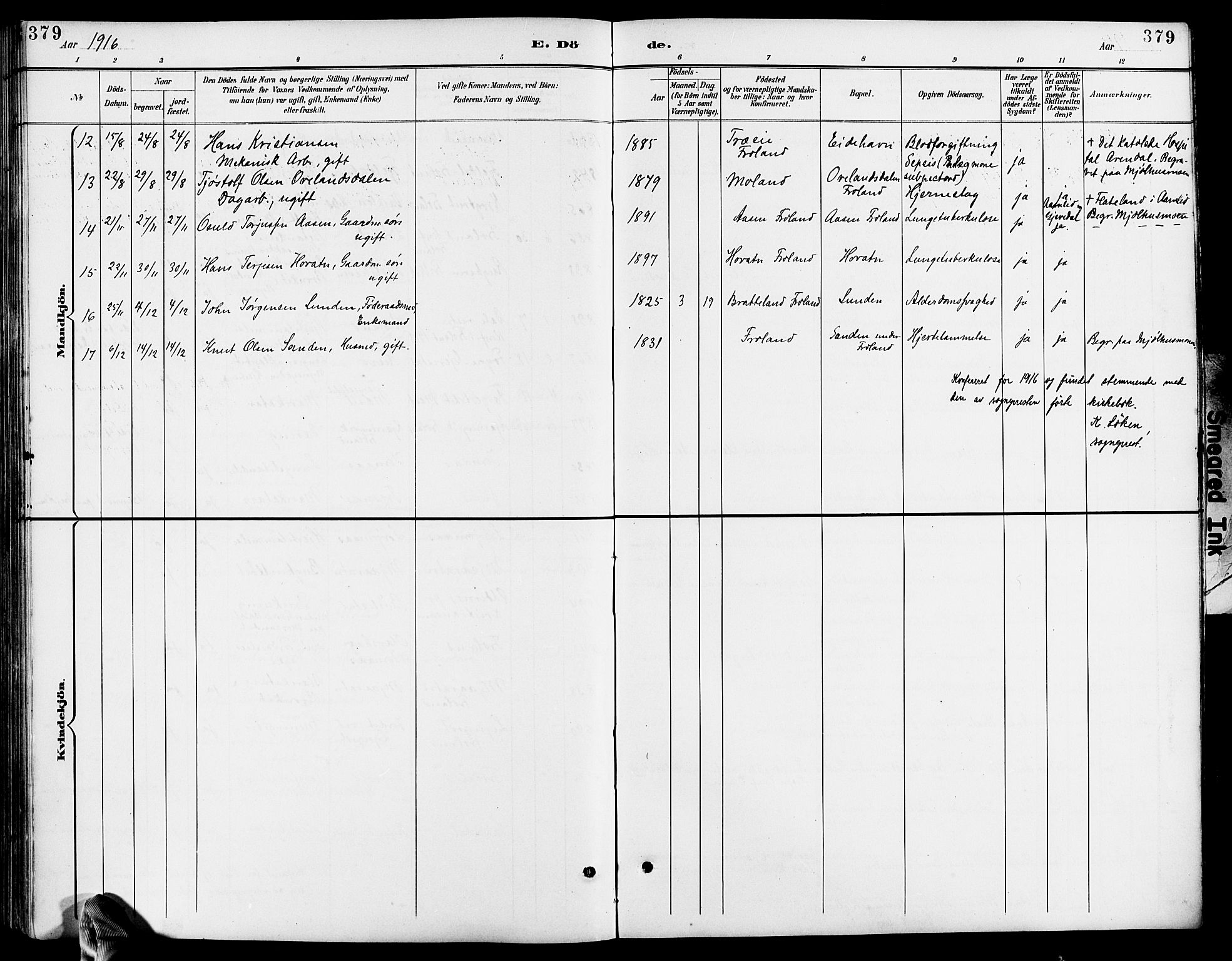 Froland sokneprestkontor, SAK/1111-0013/F/Fb/L0010: Parish register (copy) no. B 10, 1893-1920, p. 379