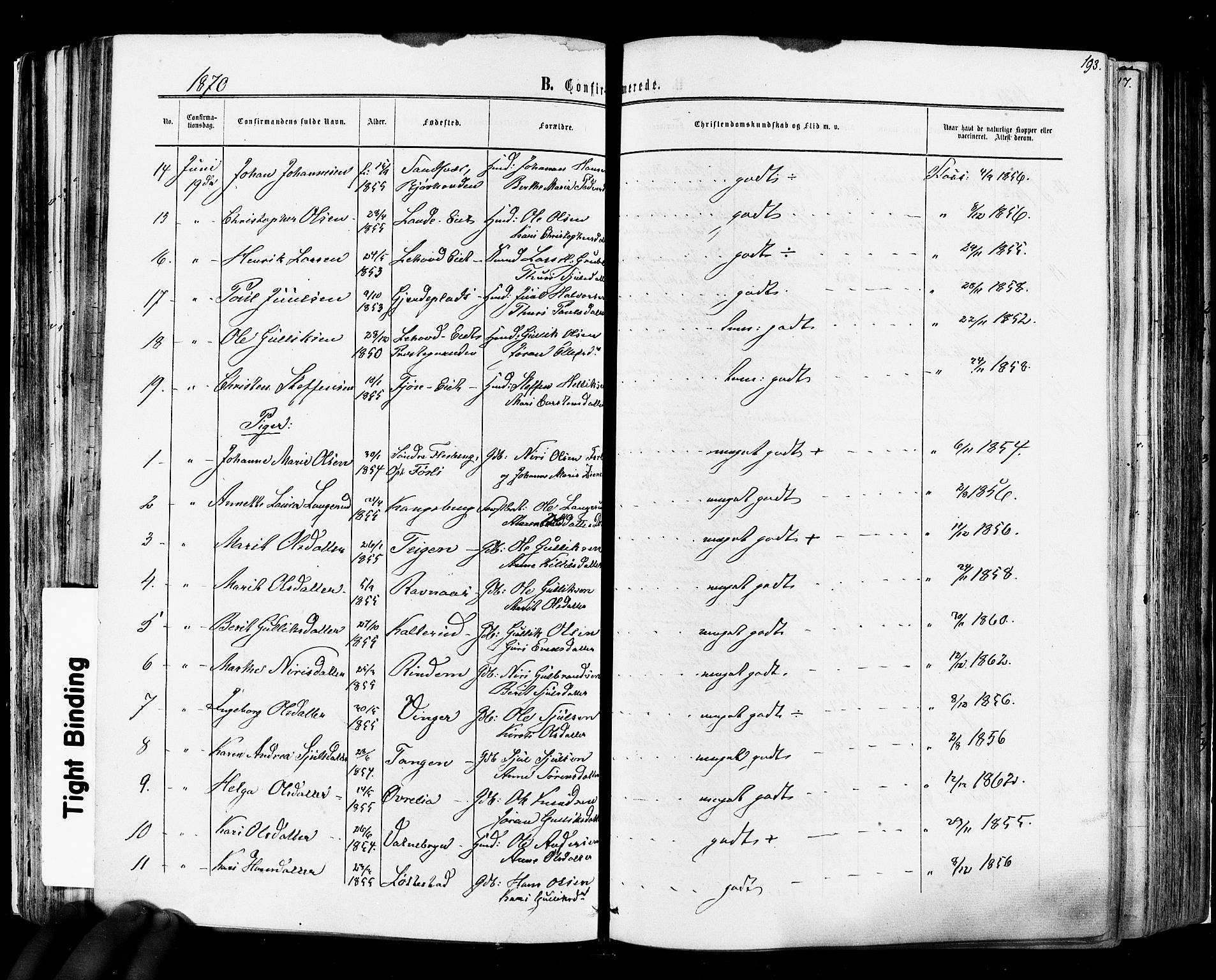 Flesberg kirkebøker, SAKO/A-18/F/Fa/L0007: Parish register (official) no. I 7, 1861-1878, p. 193