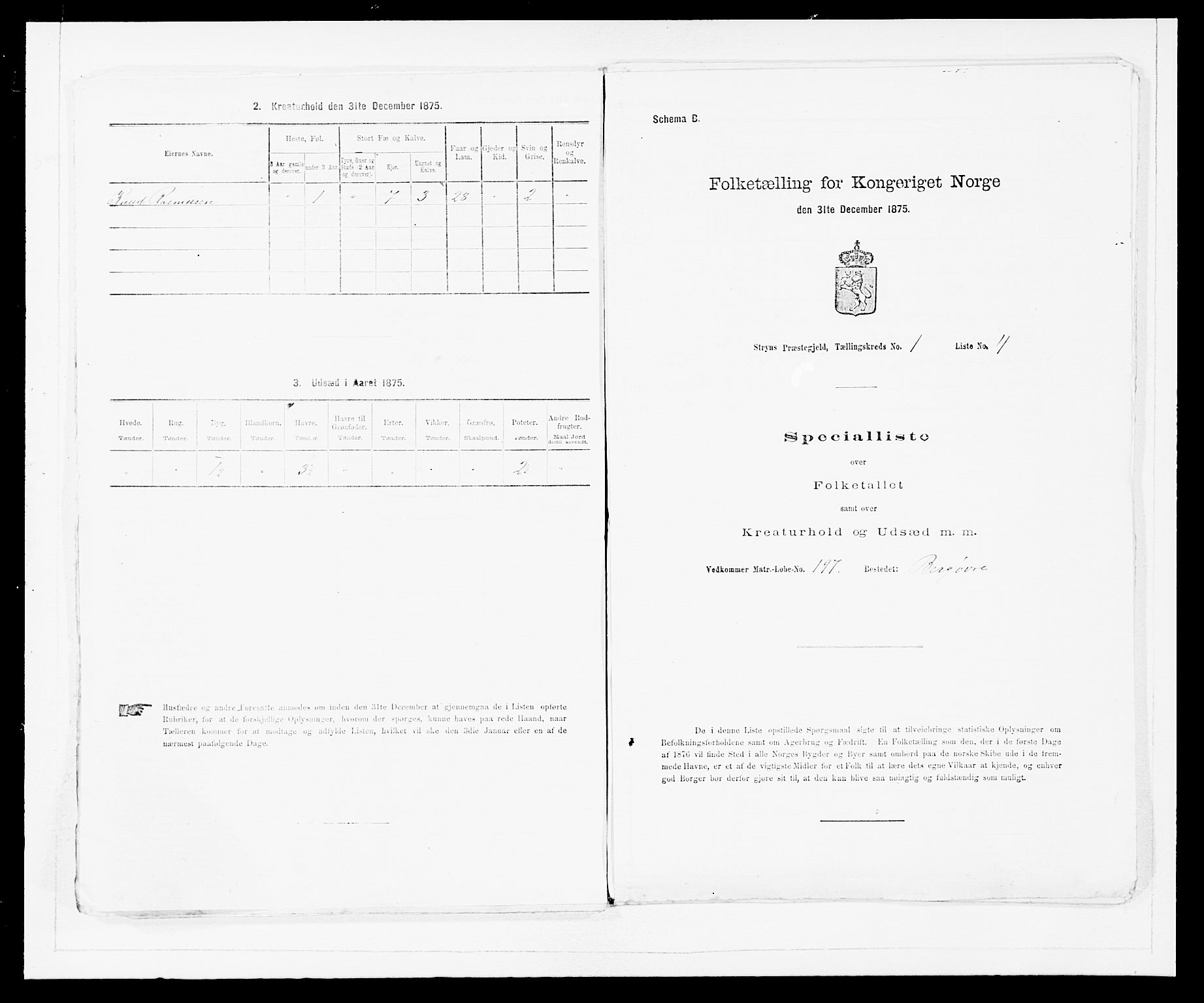 SAB, 1875 Census for 1448P Stryn, 1875, p. 42