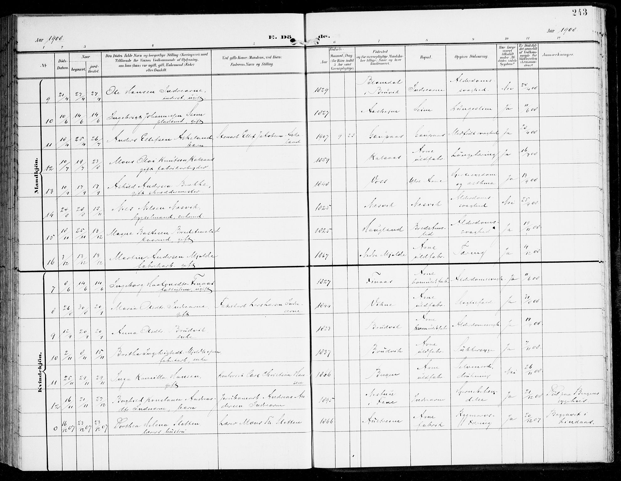 Haus sokneprestembete, AV/SAB-A-75601/H/Haa: Parish register (official) no. D 2, 1899-1912, p. 243